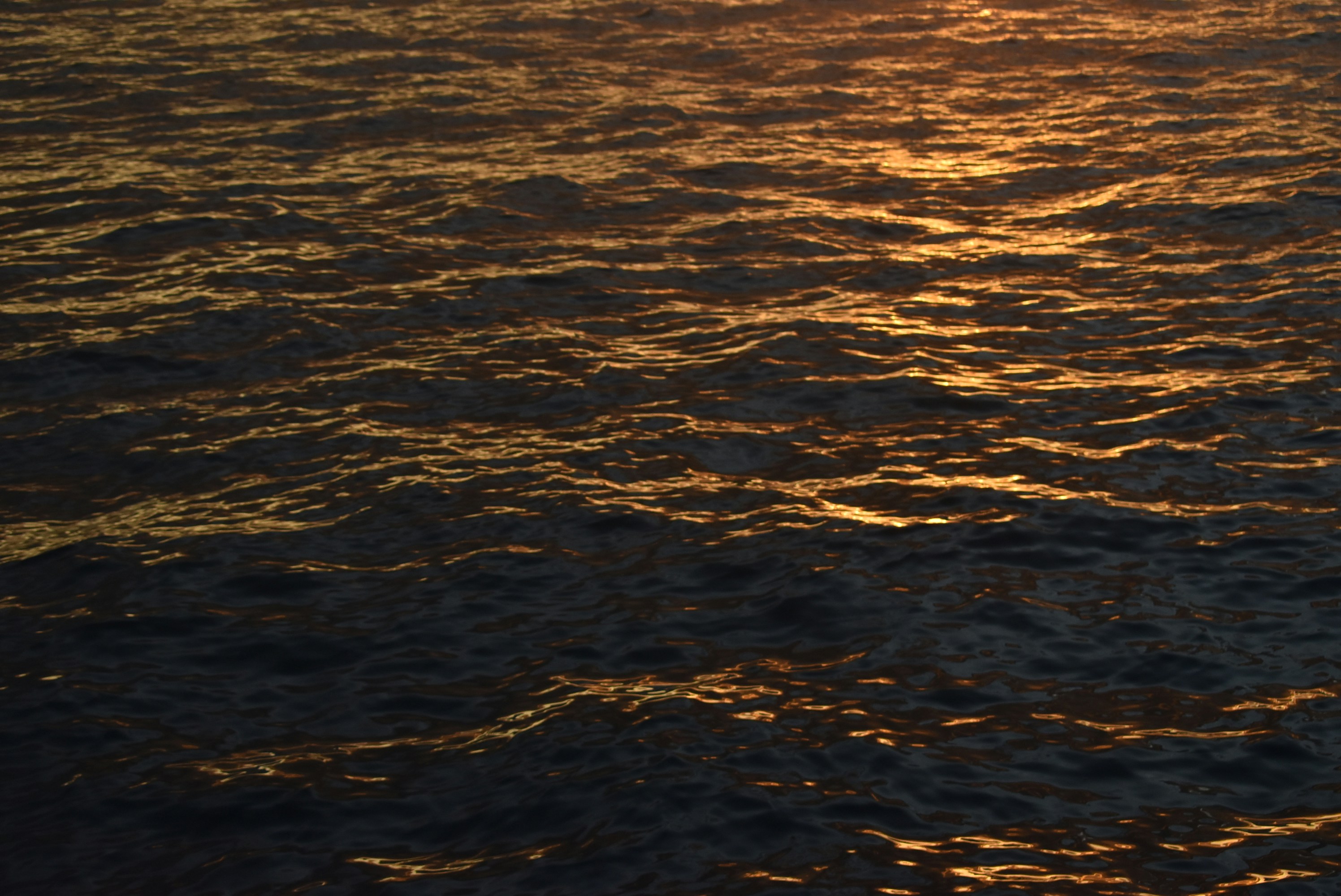 Photo by kaylalinford