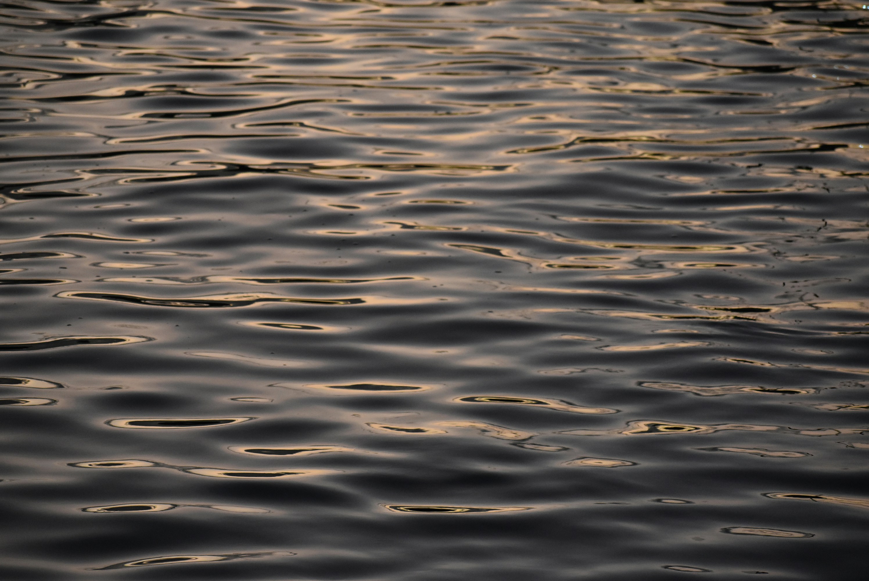 Photo by kaylalinford