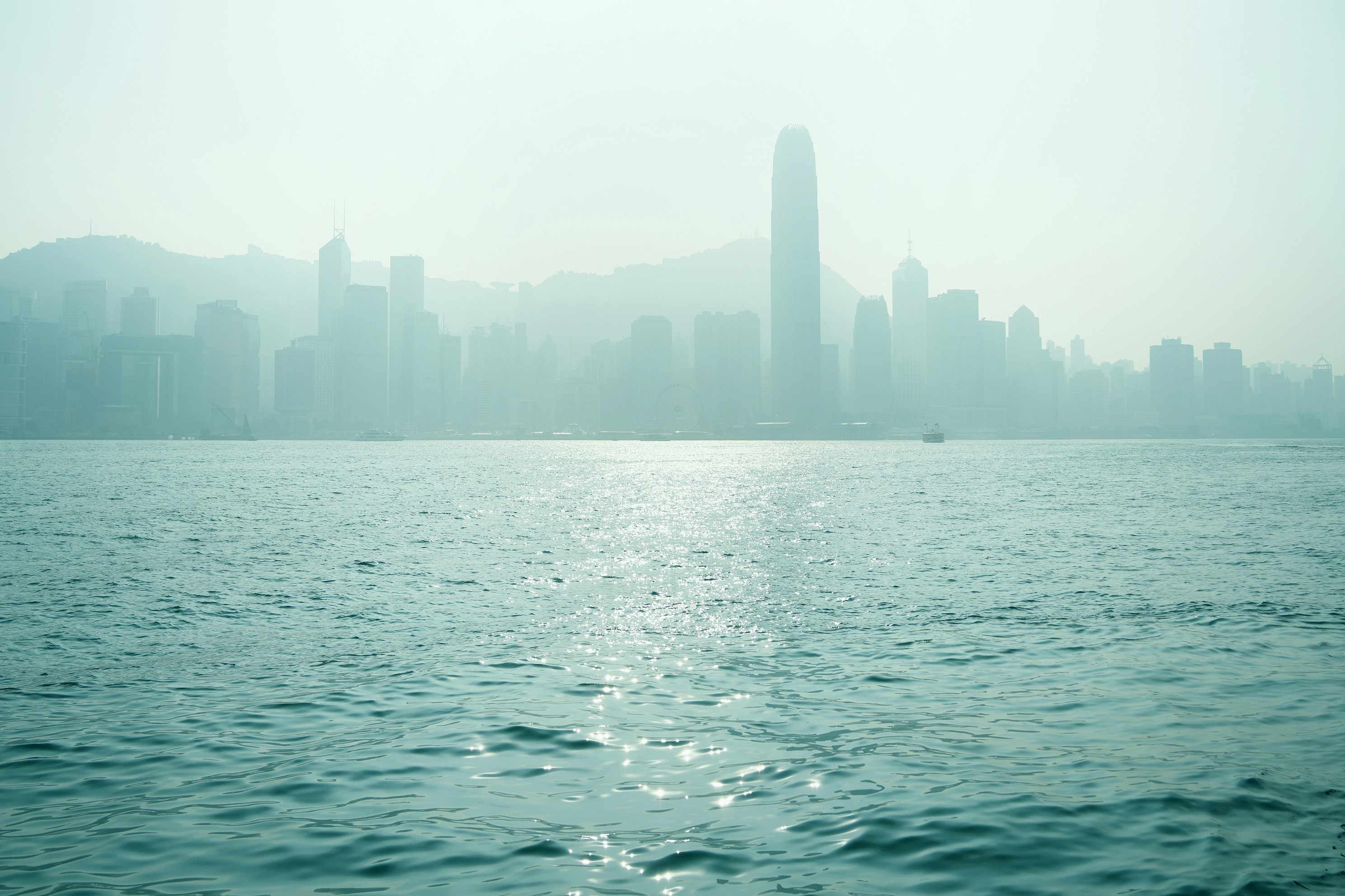 Photo by lilidongdong