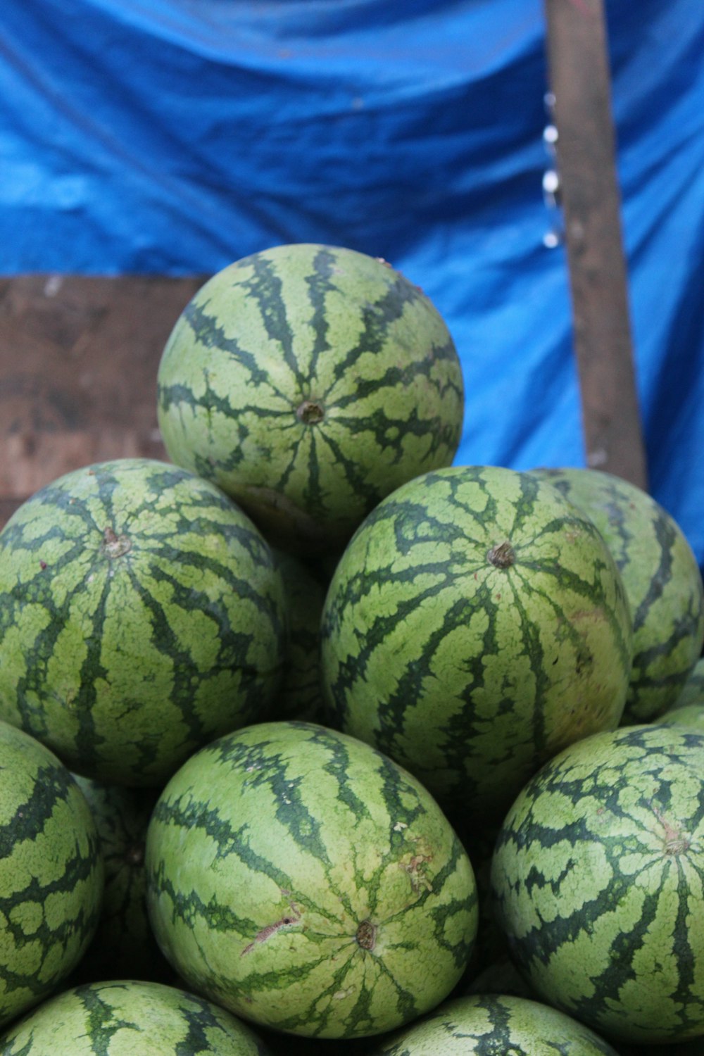 a pile of watermelons sitting on top of each other