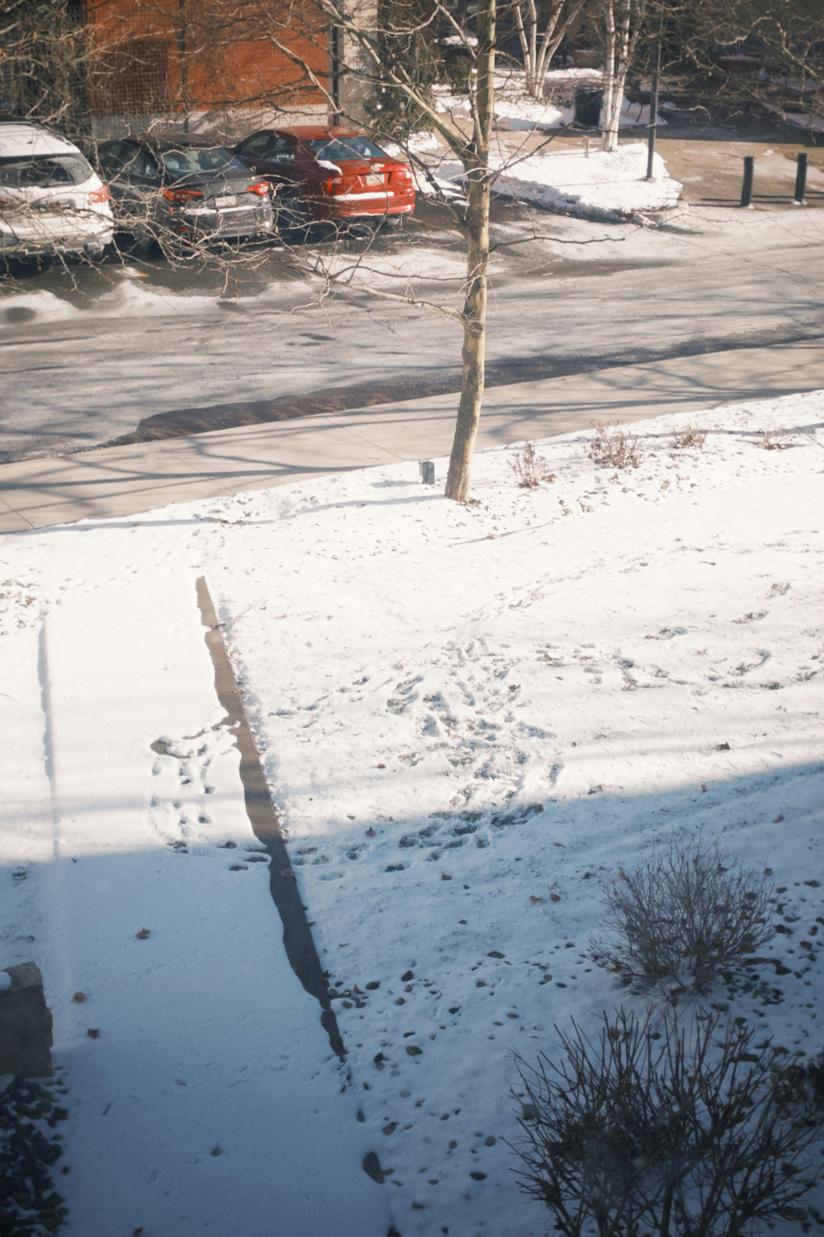 Photo by zhenyao_photo