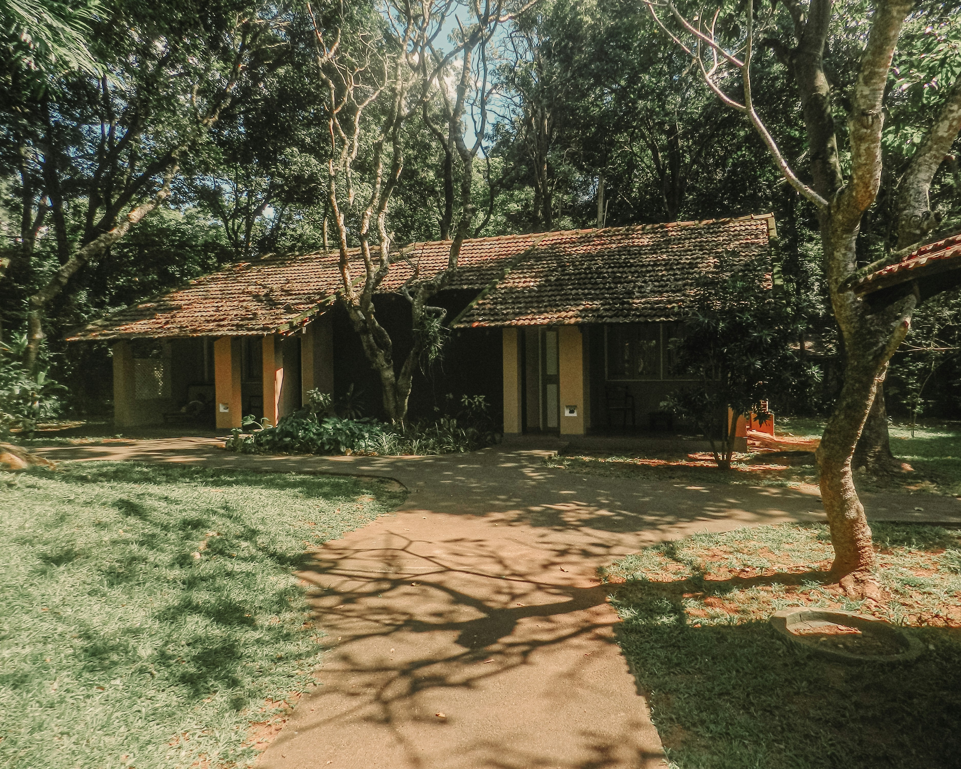 Photo by vivan_maldeniya