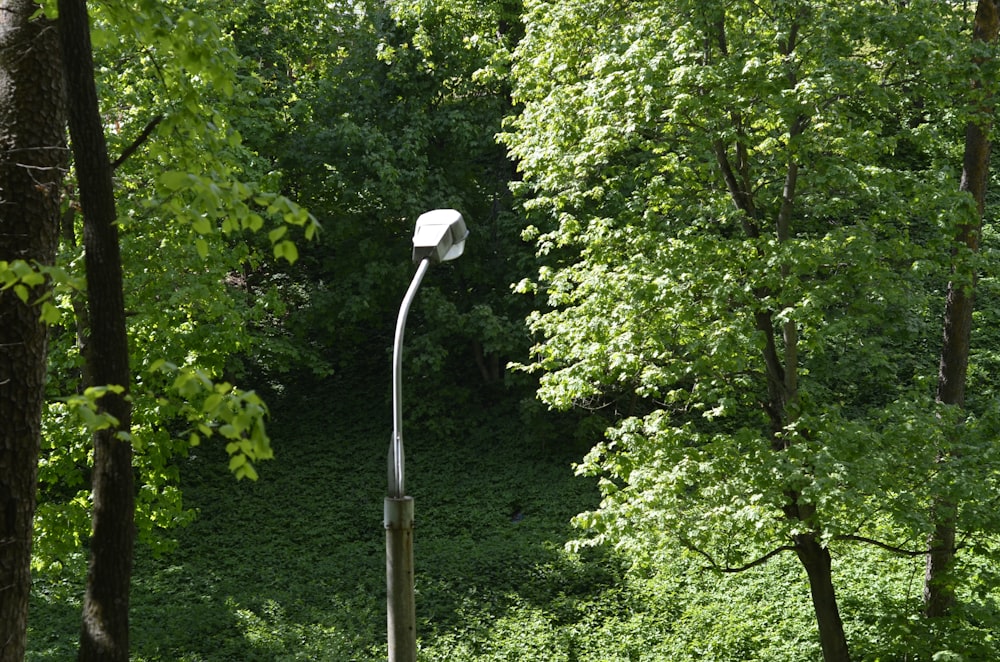 a street light sitting in the middle of a forest