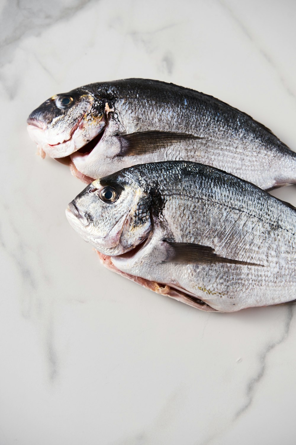 two fish sitting on top of a white counter