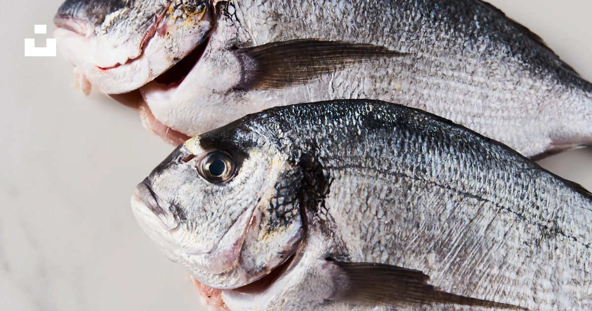 Two fish sitting on top of a white counter photo – Free Fish Image on ...