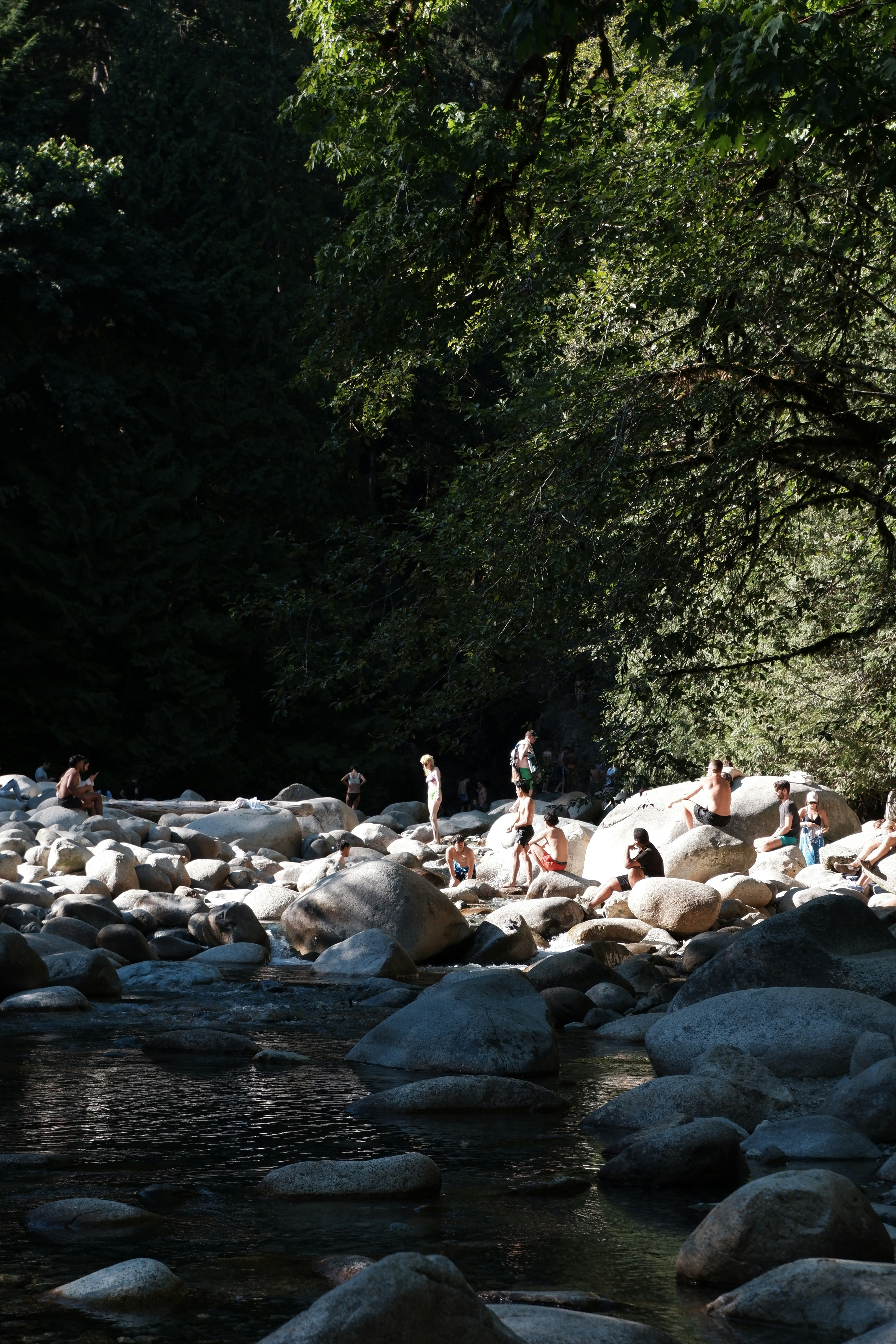 lynn canyon