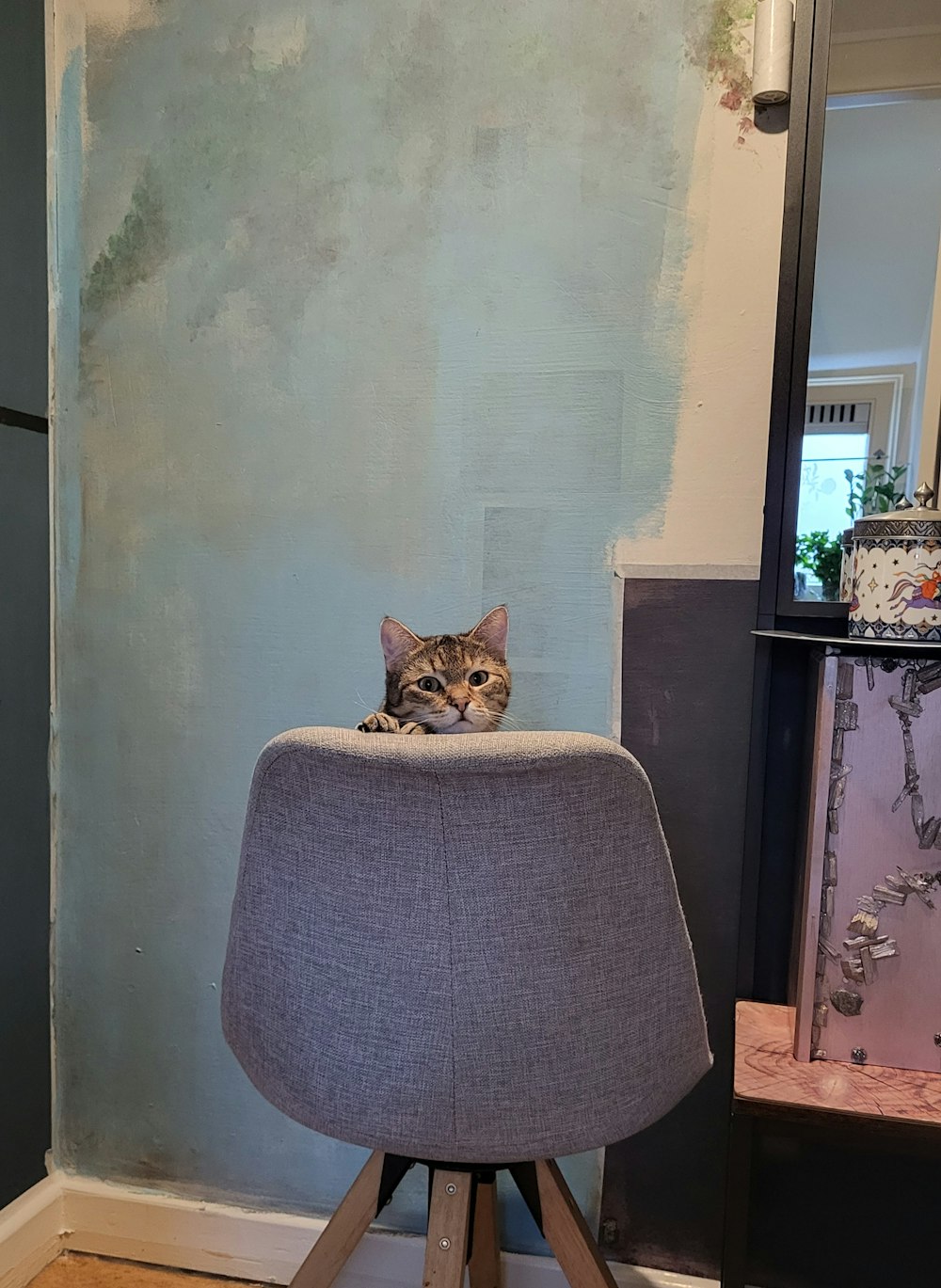 a cat sitting on top of a chair in a room