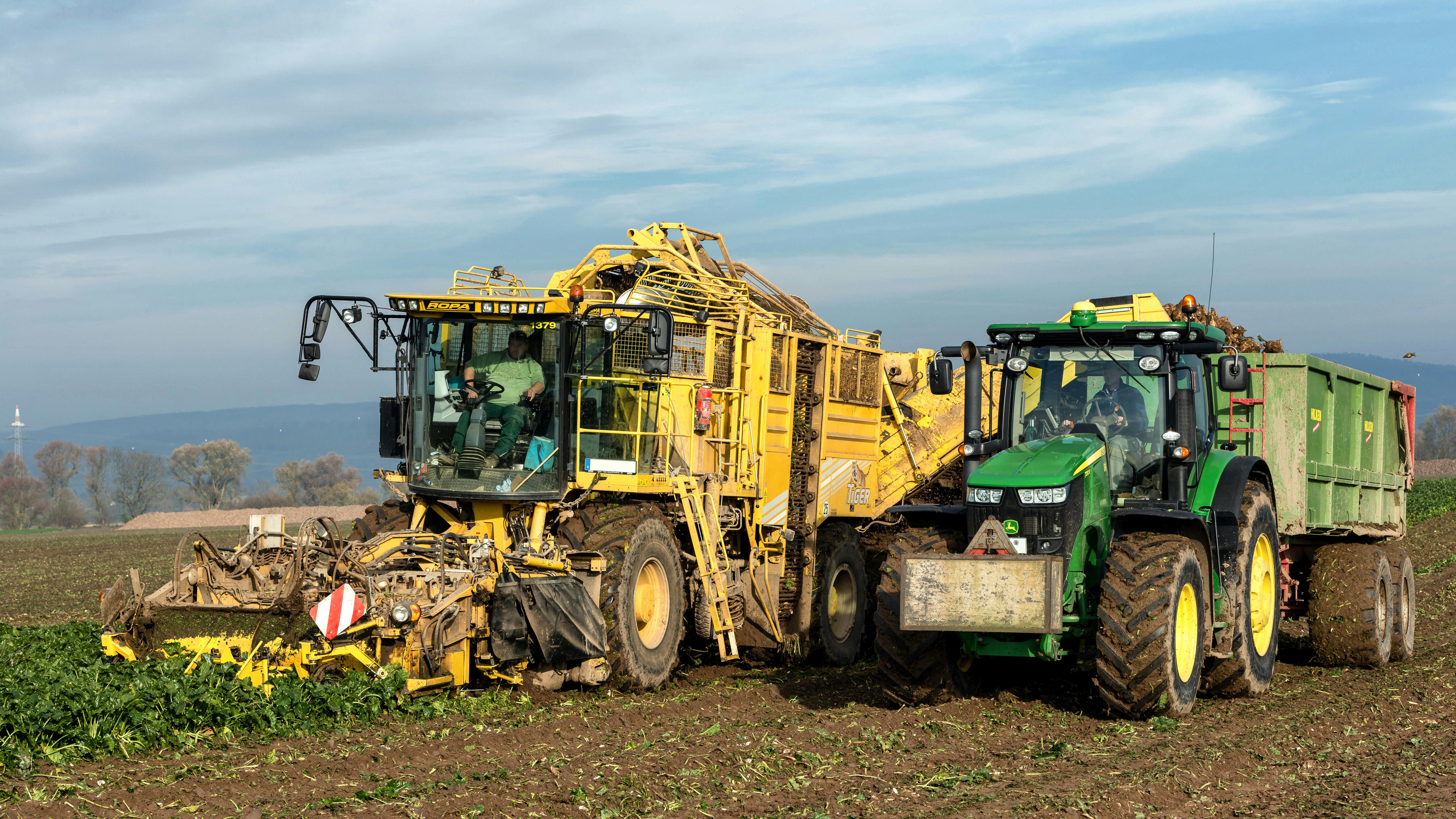 Agricultural machinery in green field, metal farming equipment harvesting crops at sunset