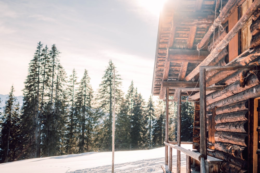 a cabin in the snow with the sun shining