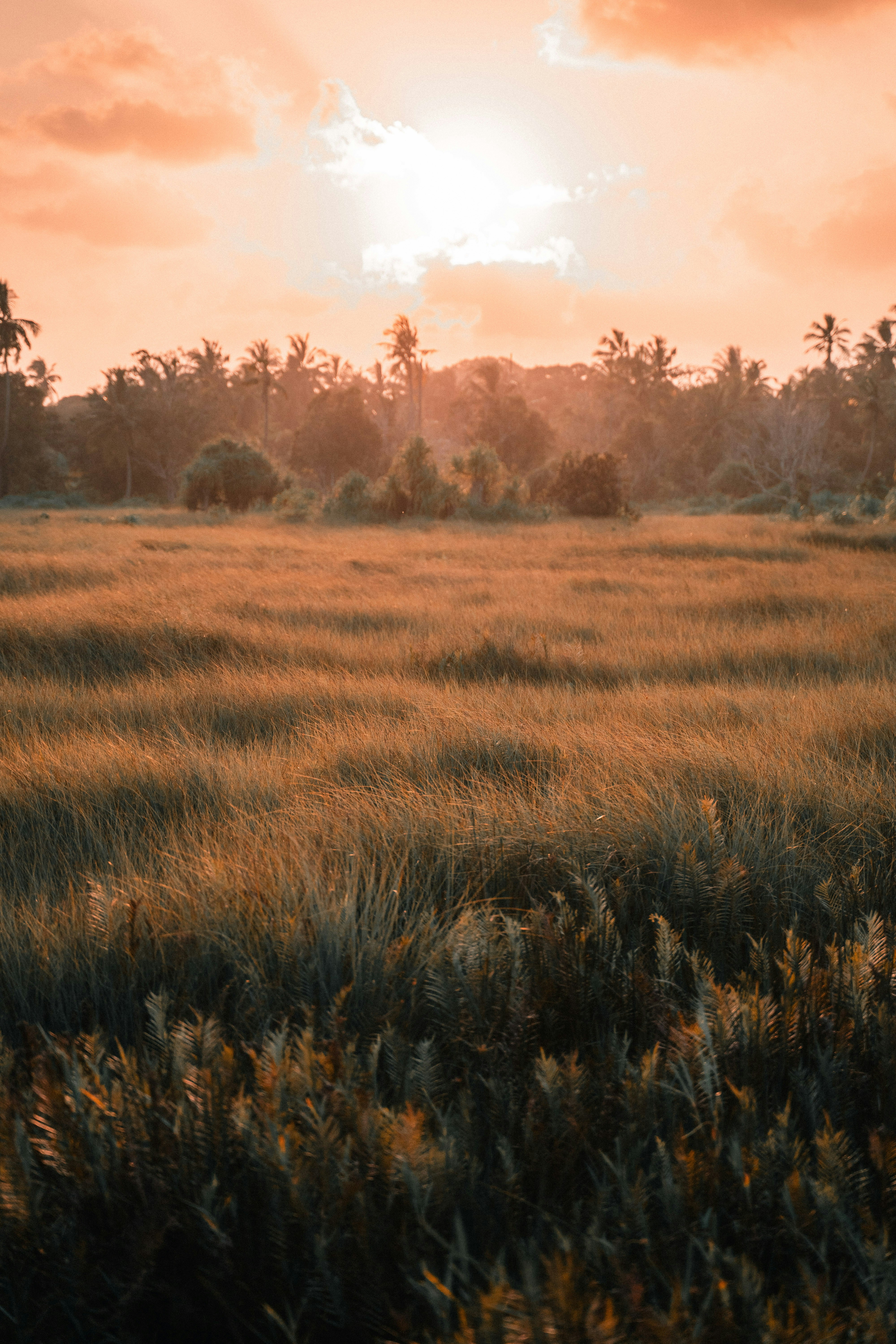 Photo by matheenfaiz