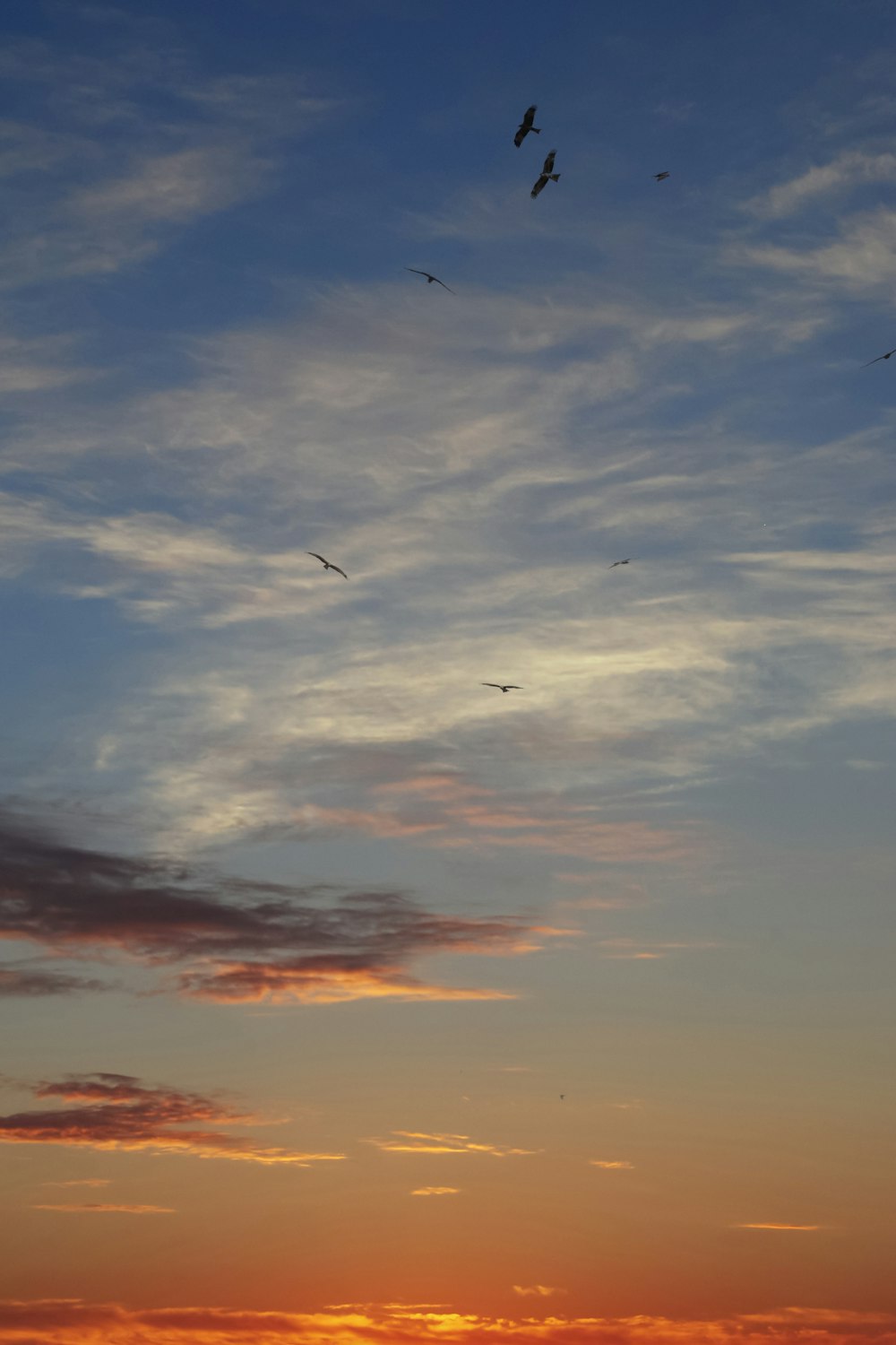 a sunset with birds flying in the sky