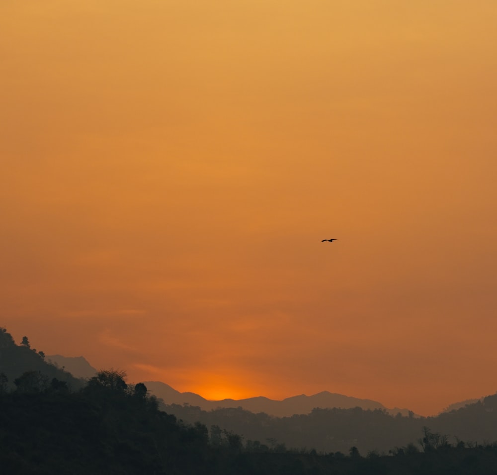 a plane flying in the sky at sunset