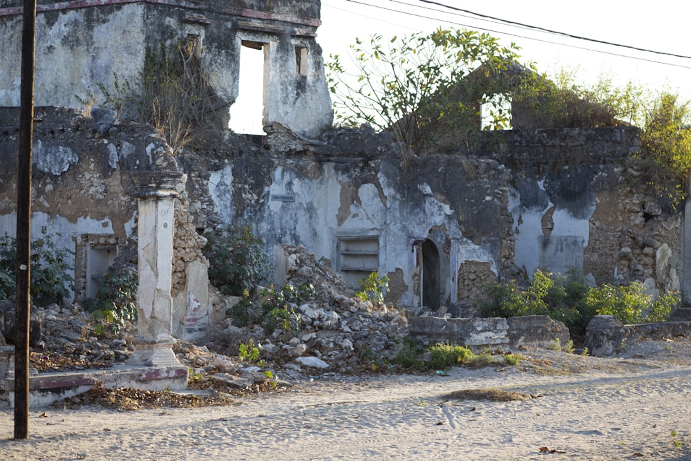 an old building with a bunch of plants growing out of it