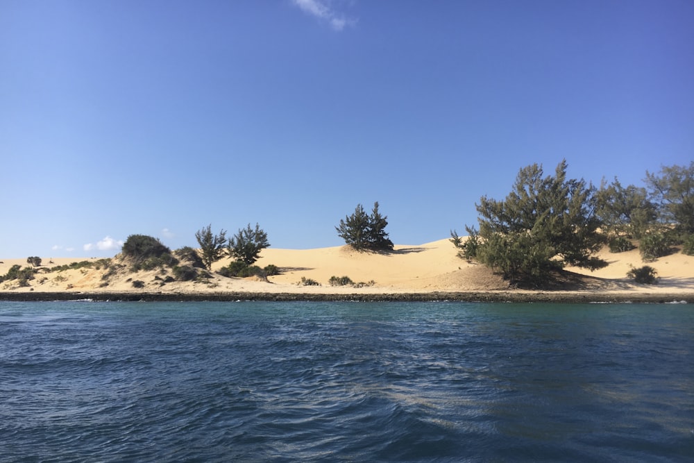 a body of water surrounded by sand dunes and trees
