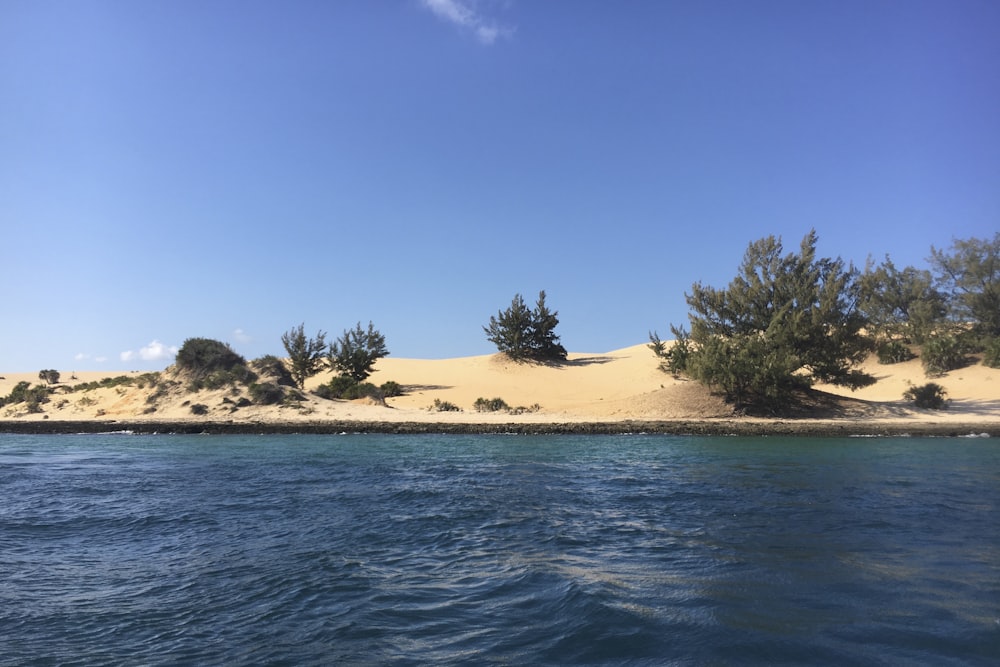 Un cuerpo de agua rodeado de dunas de arena y árboles