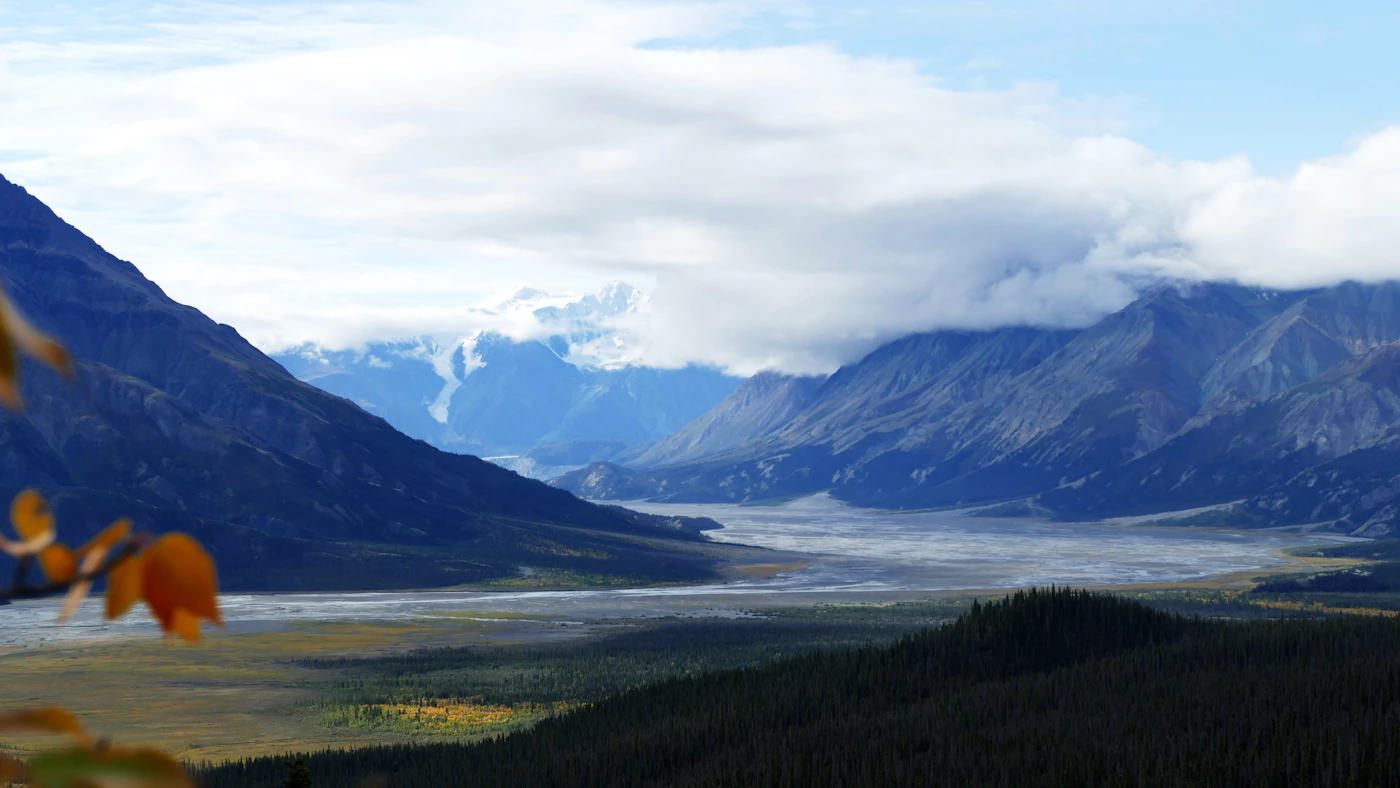 Autumn colours in Kluane National Park Yukon Canada with golden aspen and birch trees in the foreground and the dramatic mountain peaks and wilderness valleys of the park stretching to the horizon under a partly cloudy sky