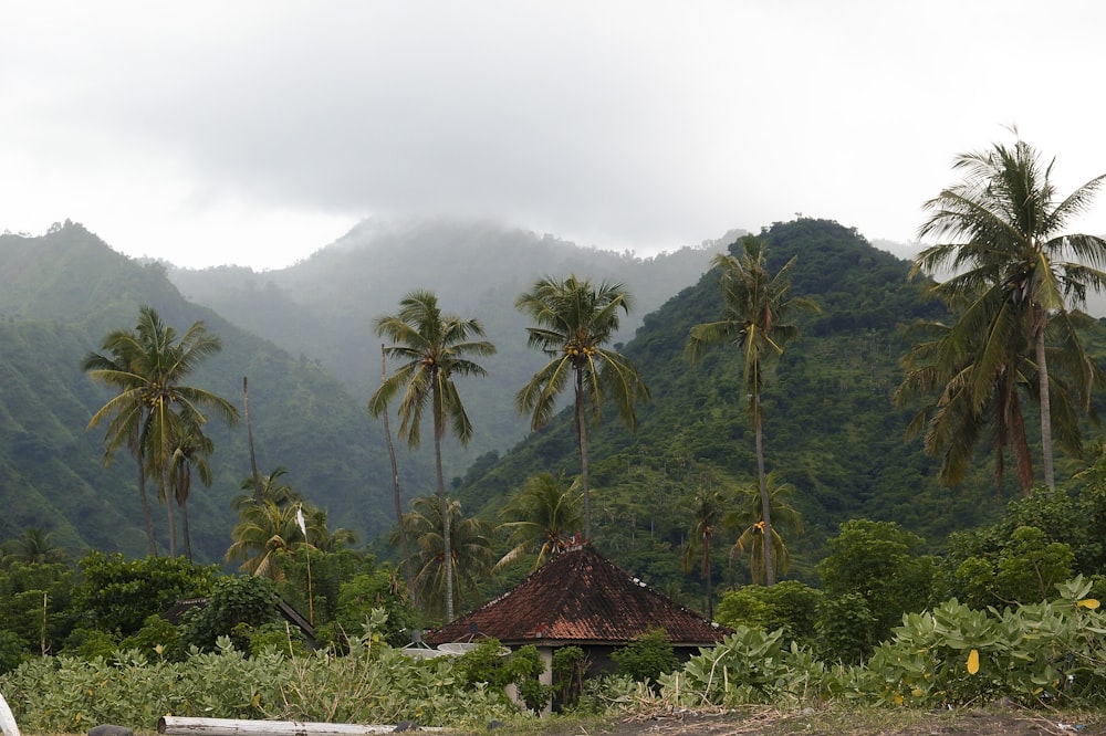 a hut in the middle of a jungle with mountains in the background