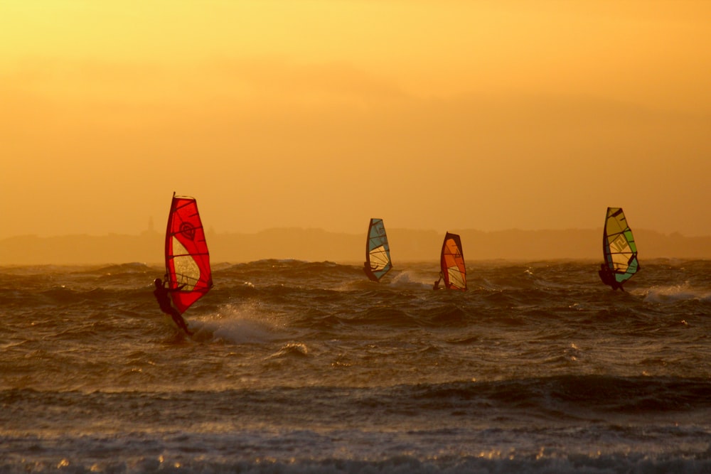 a group of windsurfers in the ocean at sunset