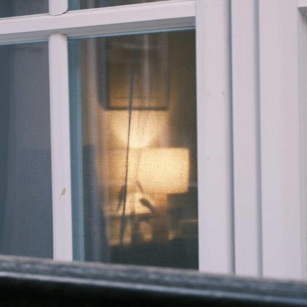 a cat sitting on a window sill next to a lamp
