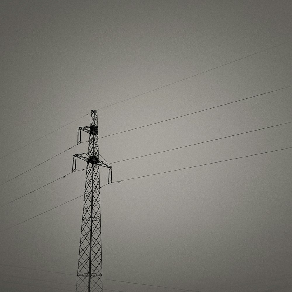 une photo en noir et blanc de lignes électriques