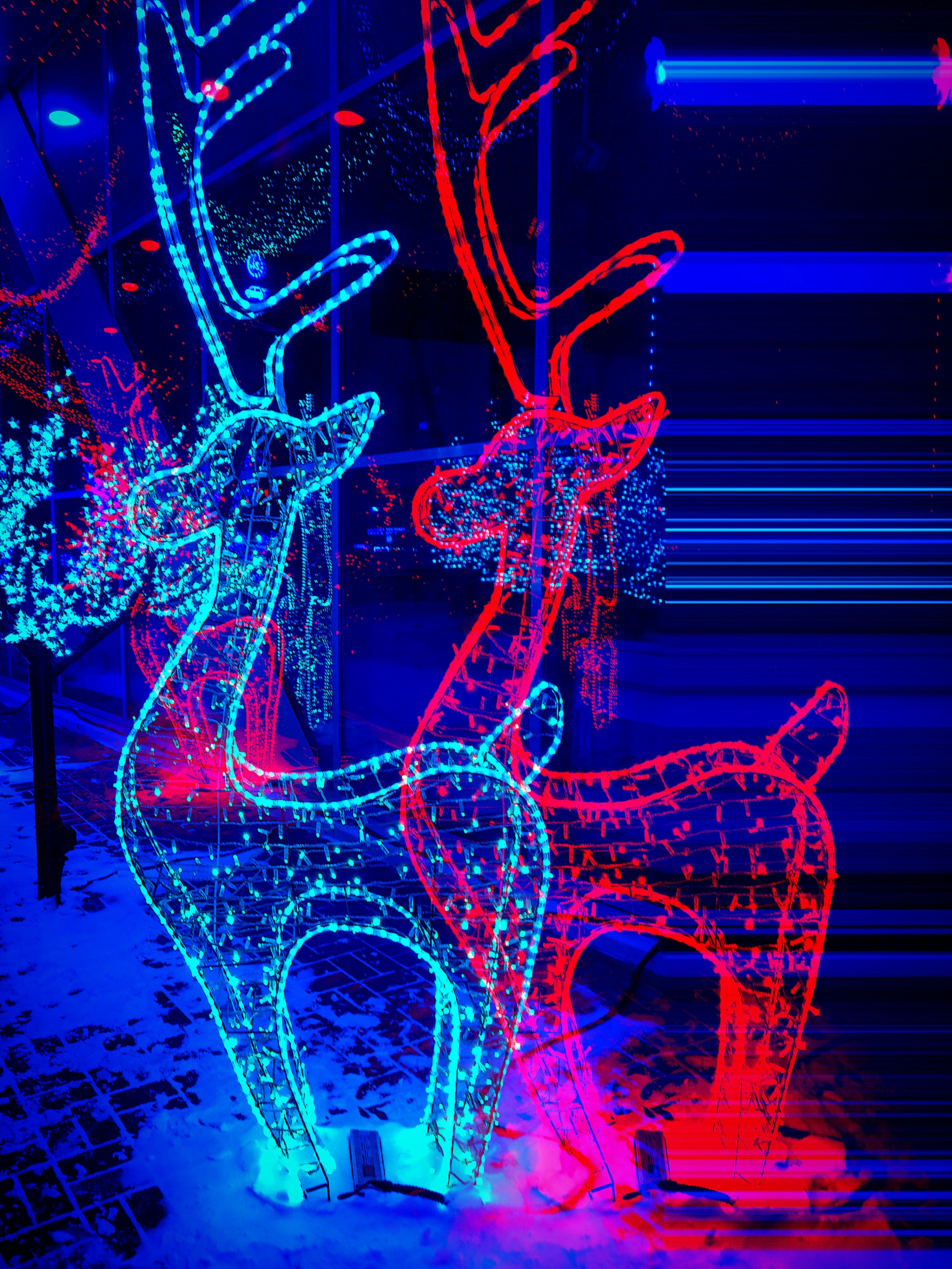 Brightscape Holiday Lighting's image