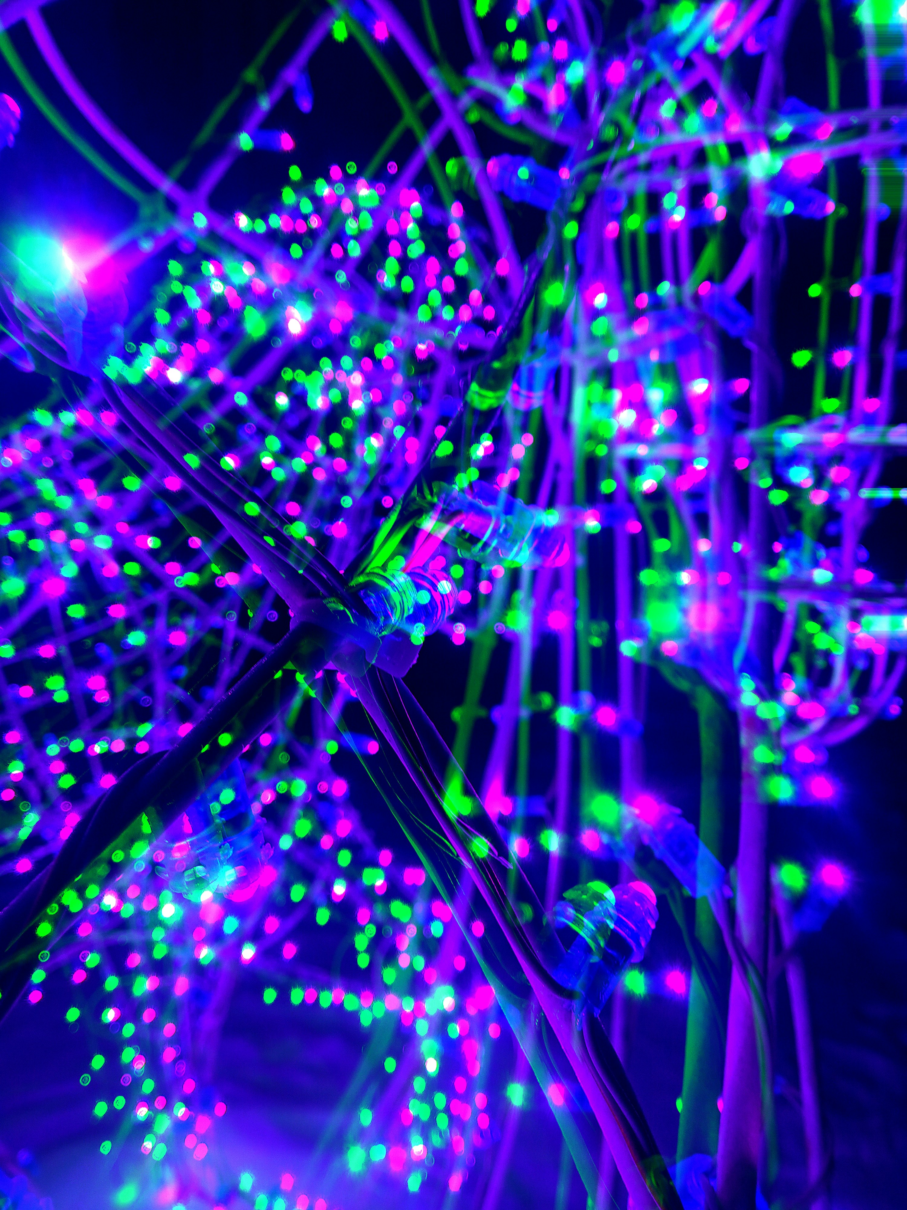 Photo by dmitry_burdakov