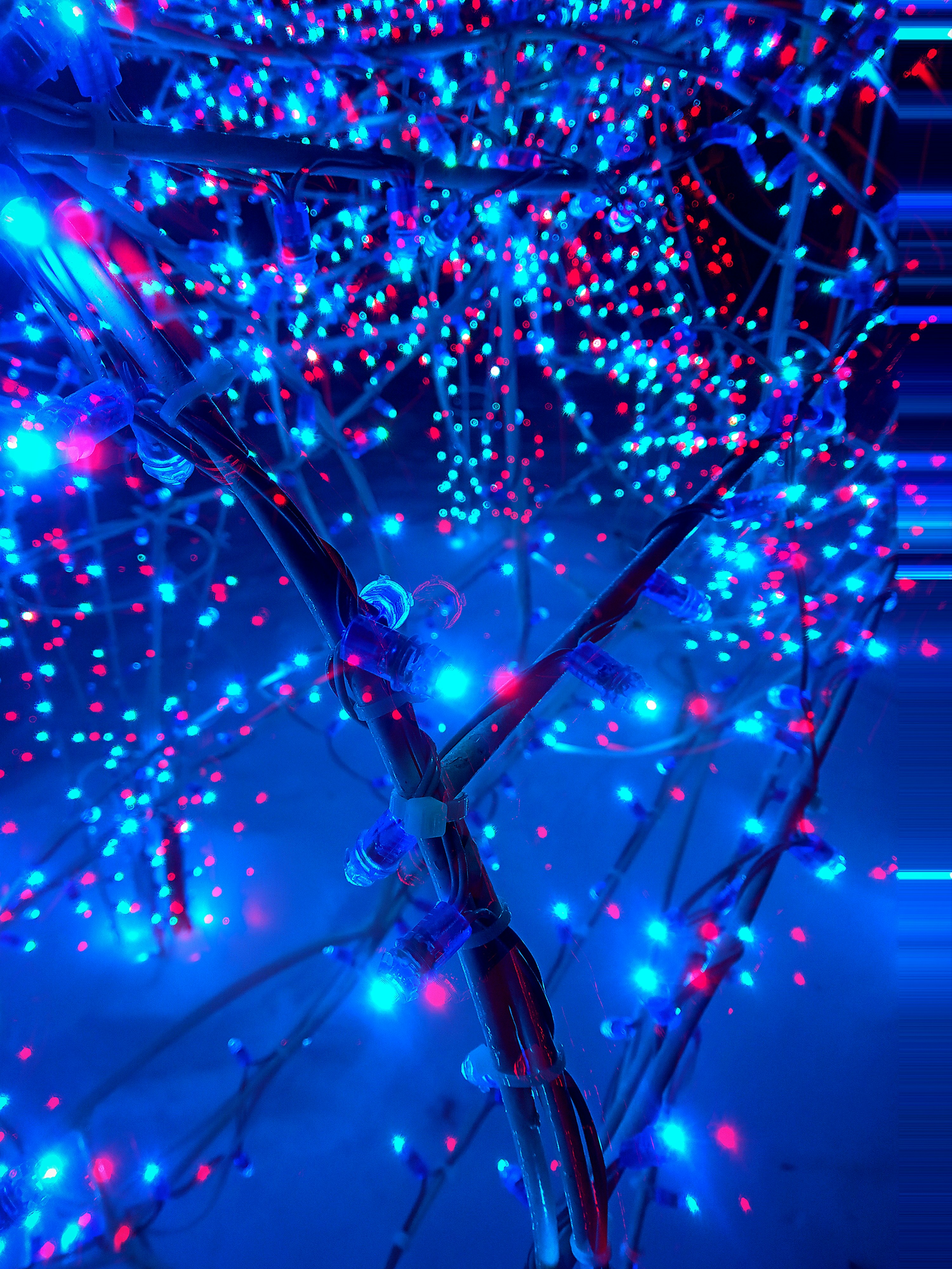 Photo by dmitry_burdakov