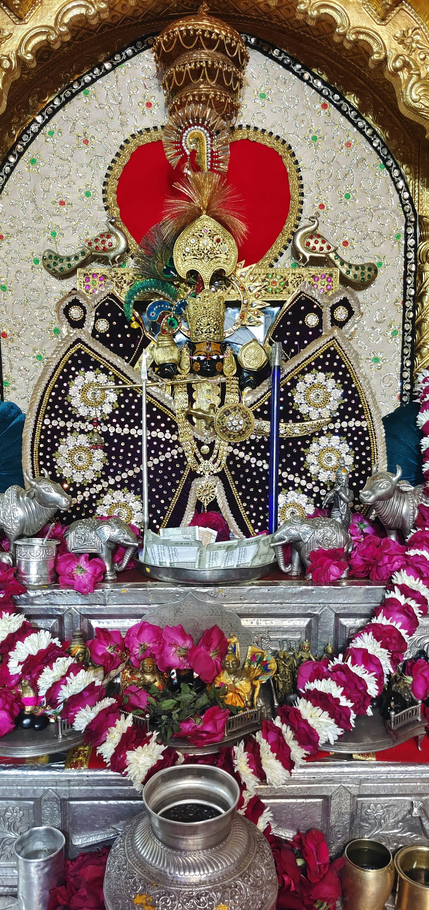 Photo by vikramudaipur