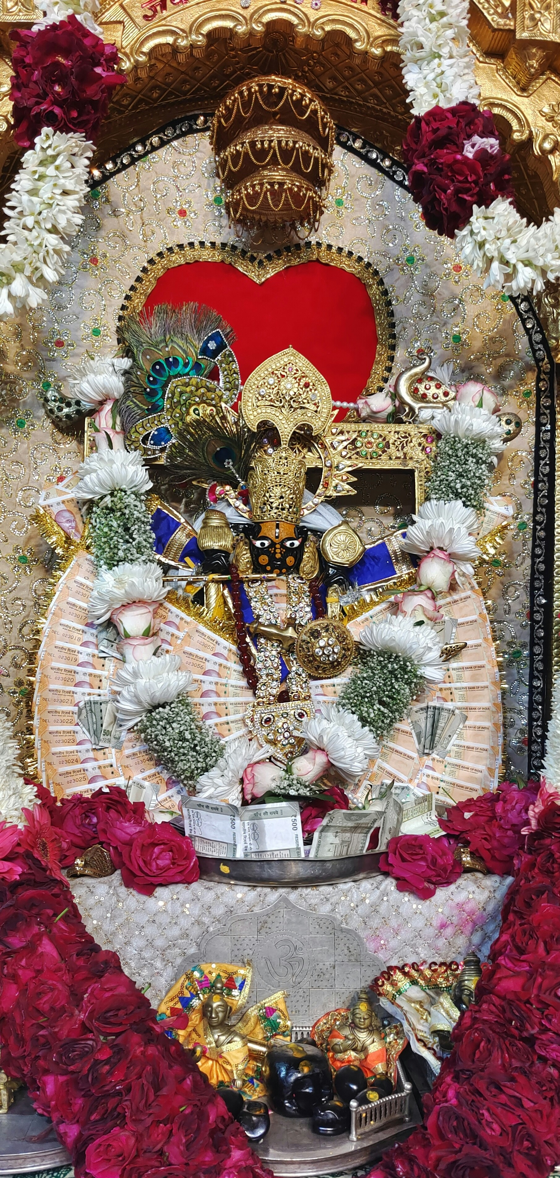 Photo by vikramudaipur