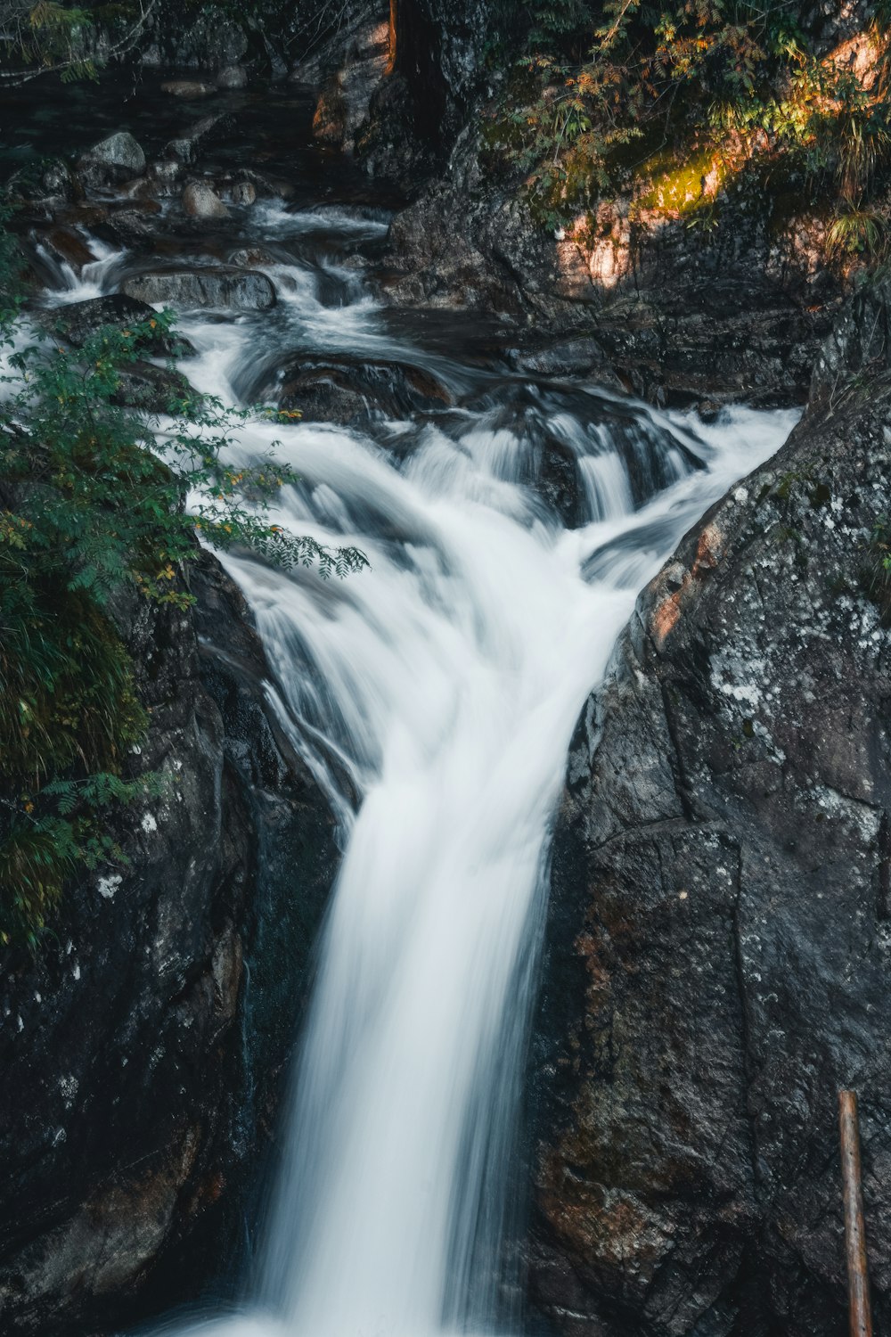 a small waterfall flowing over rocks in a forest