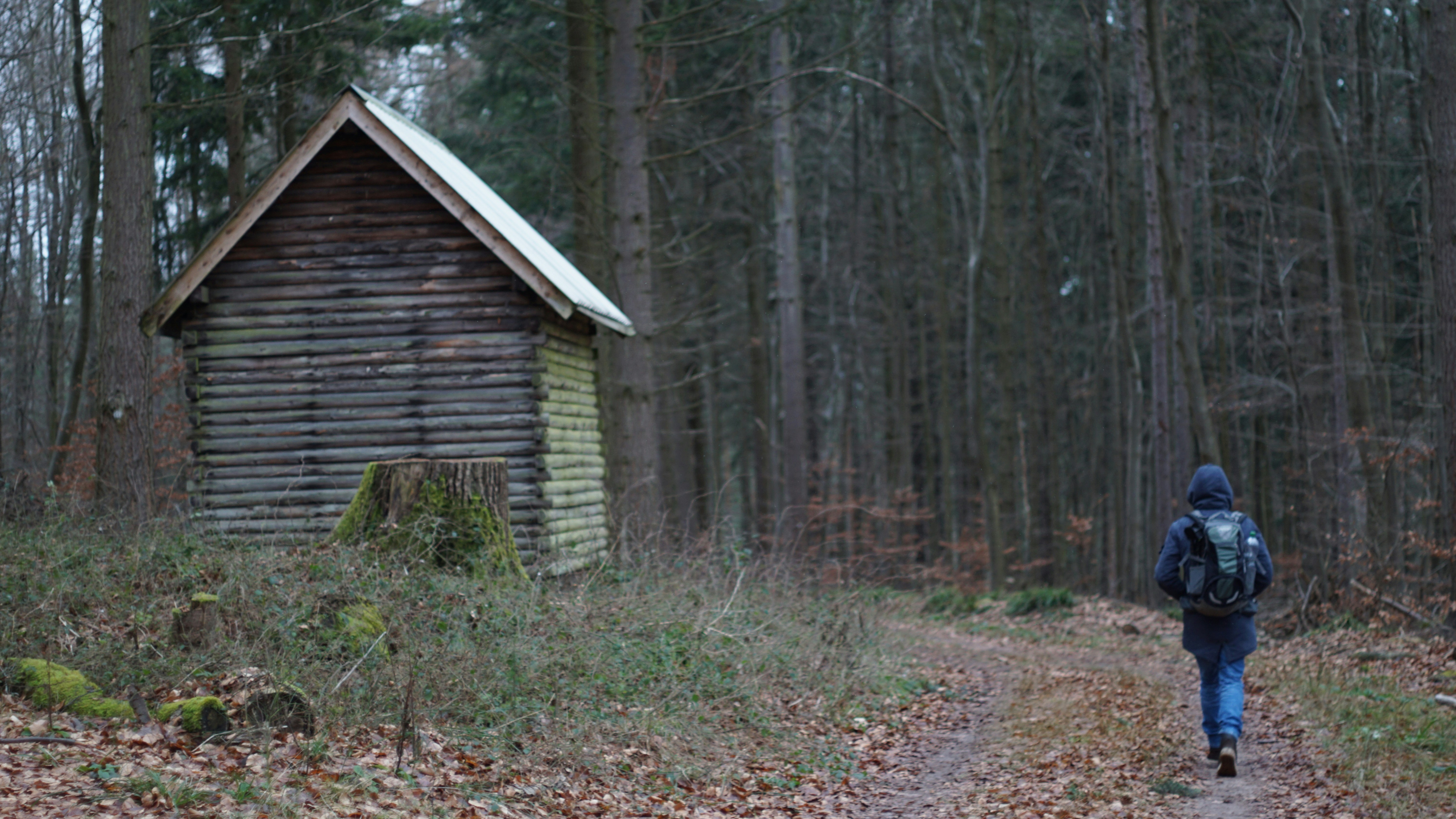 une personne marchant sur un chemin dans les bois