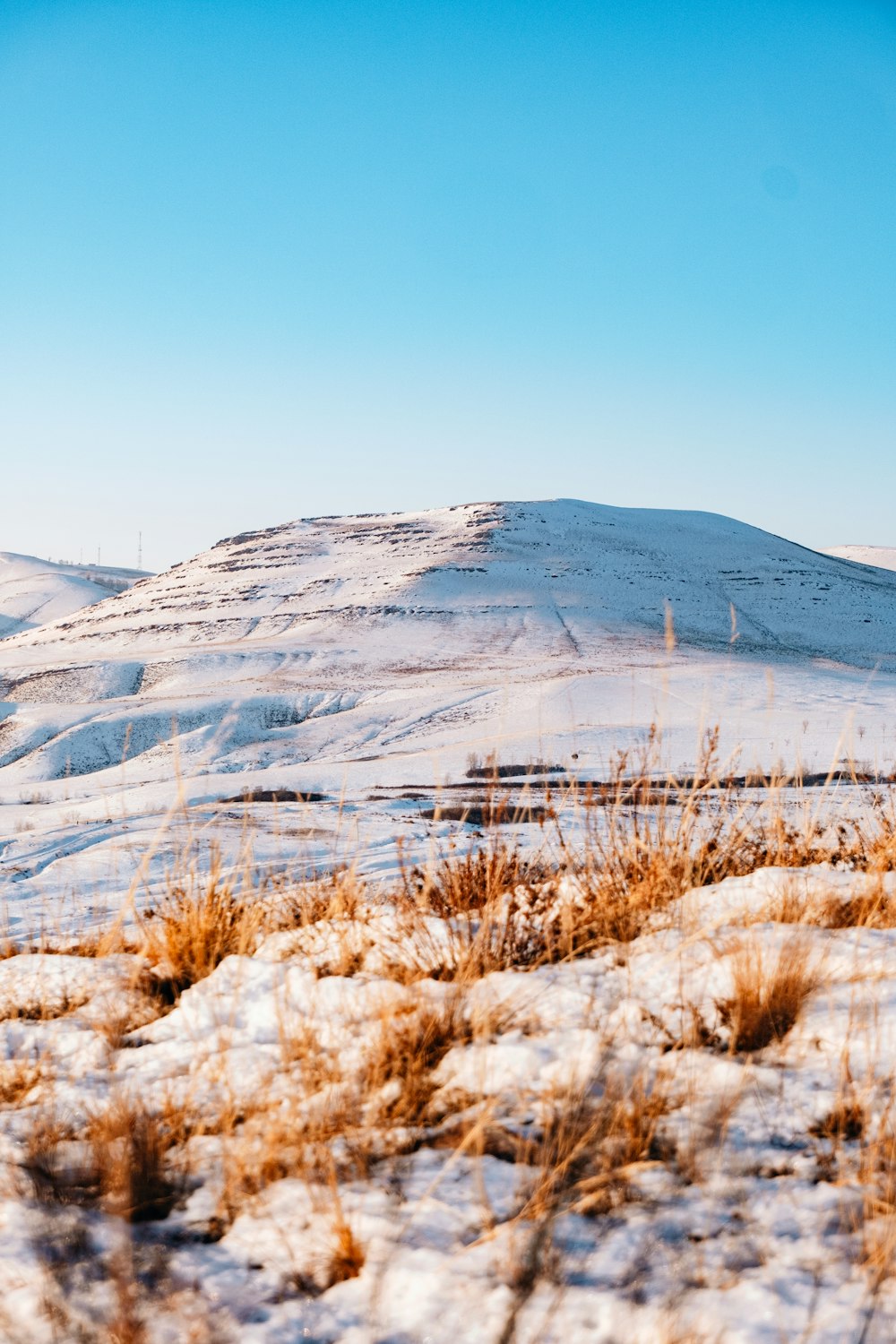 a snowy landscape with a hill in the background