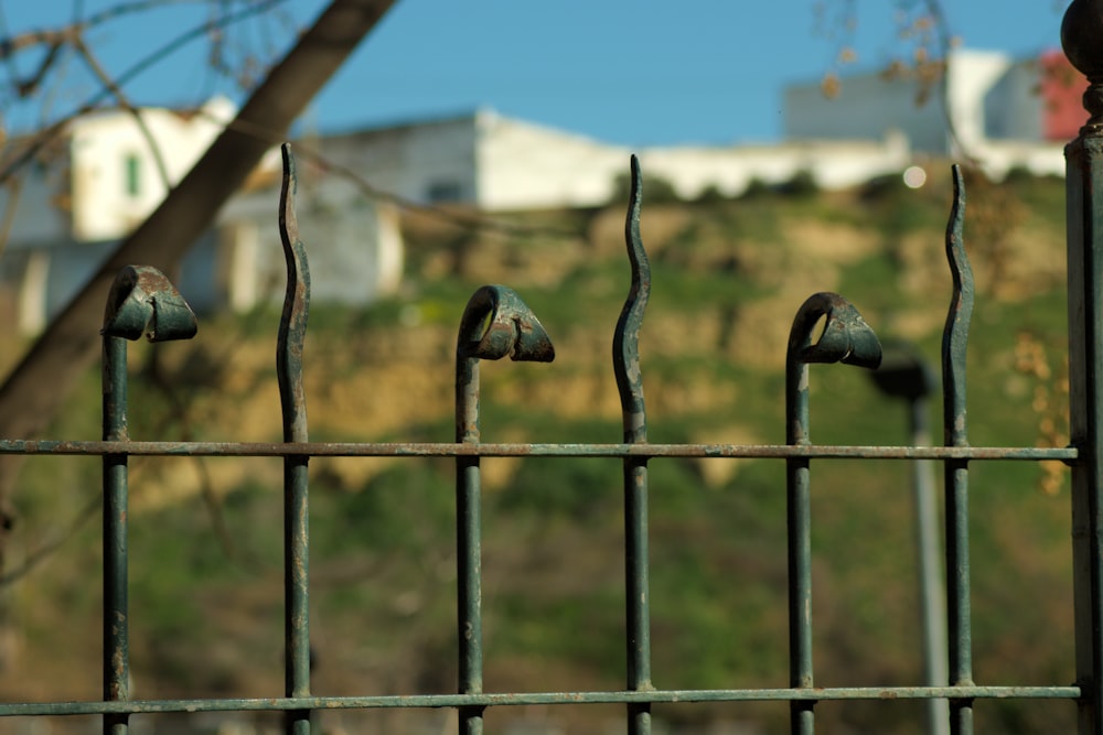 une clôture en métal d’où sort un tas de clous