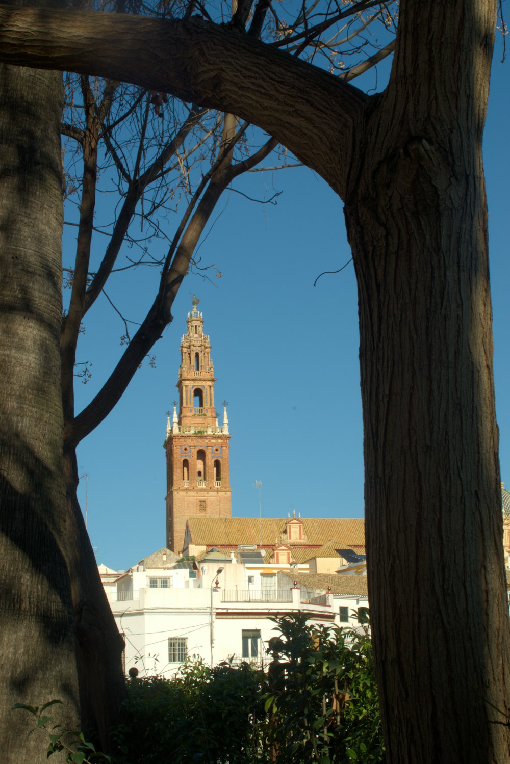 a tall clock tower towering over a city