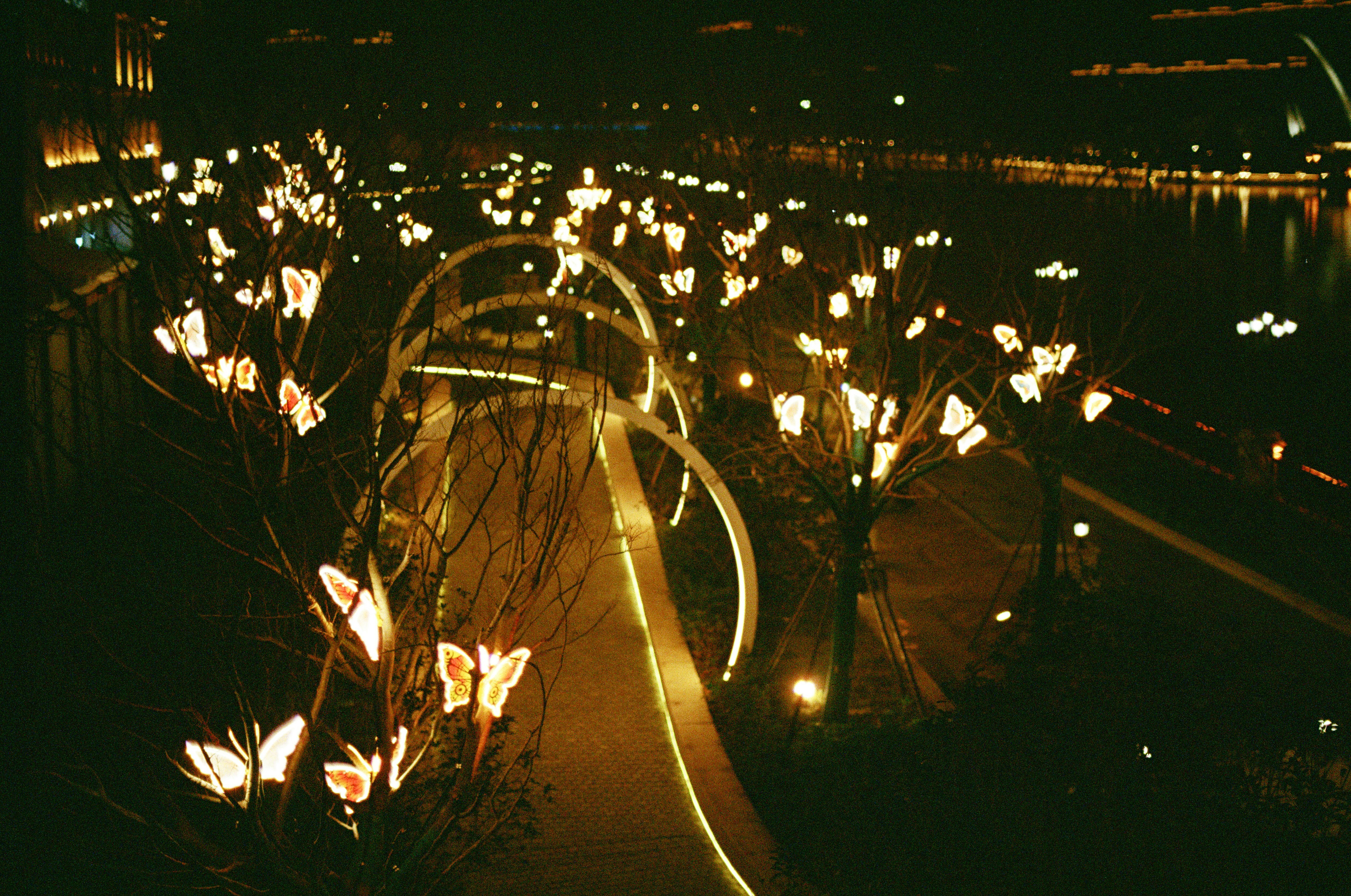 a bunch of lights that are on the ground
