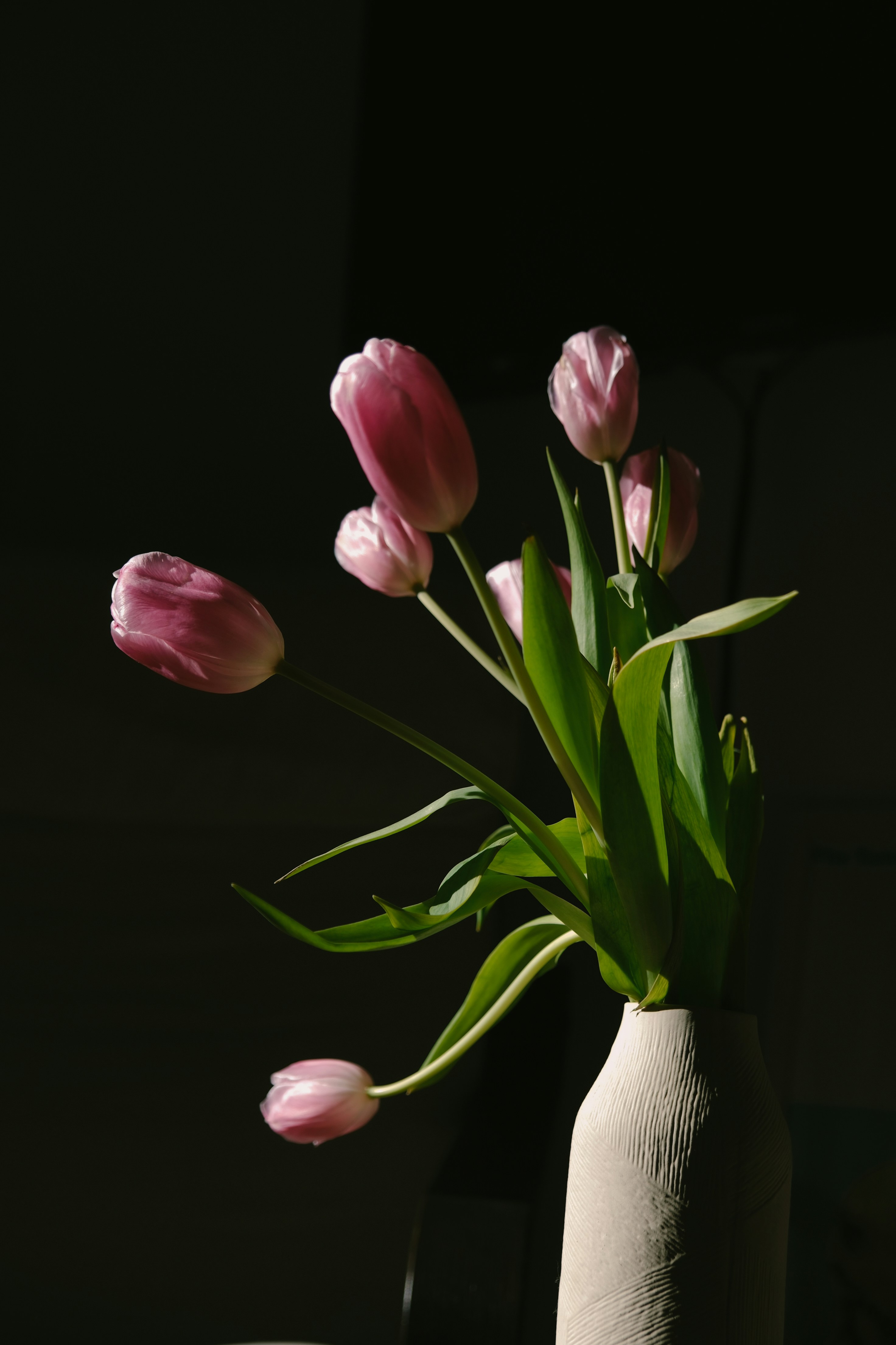 Photo by rebecamester