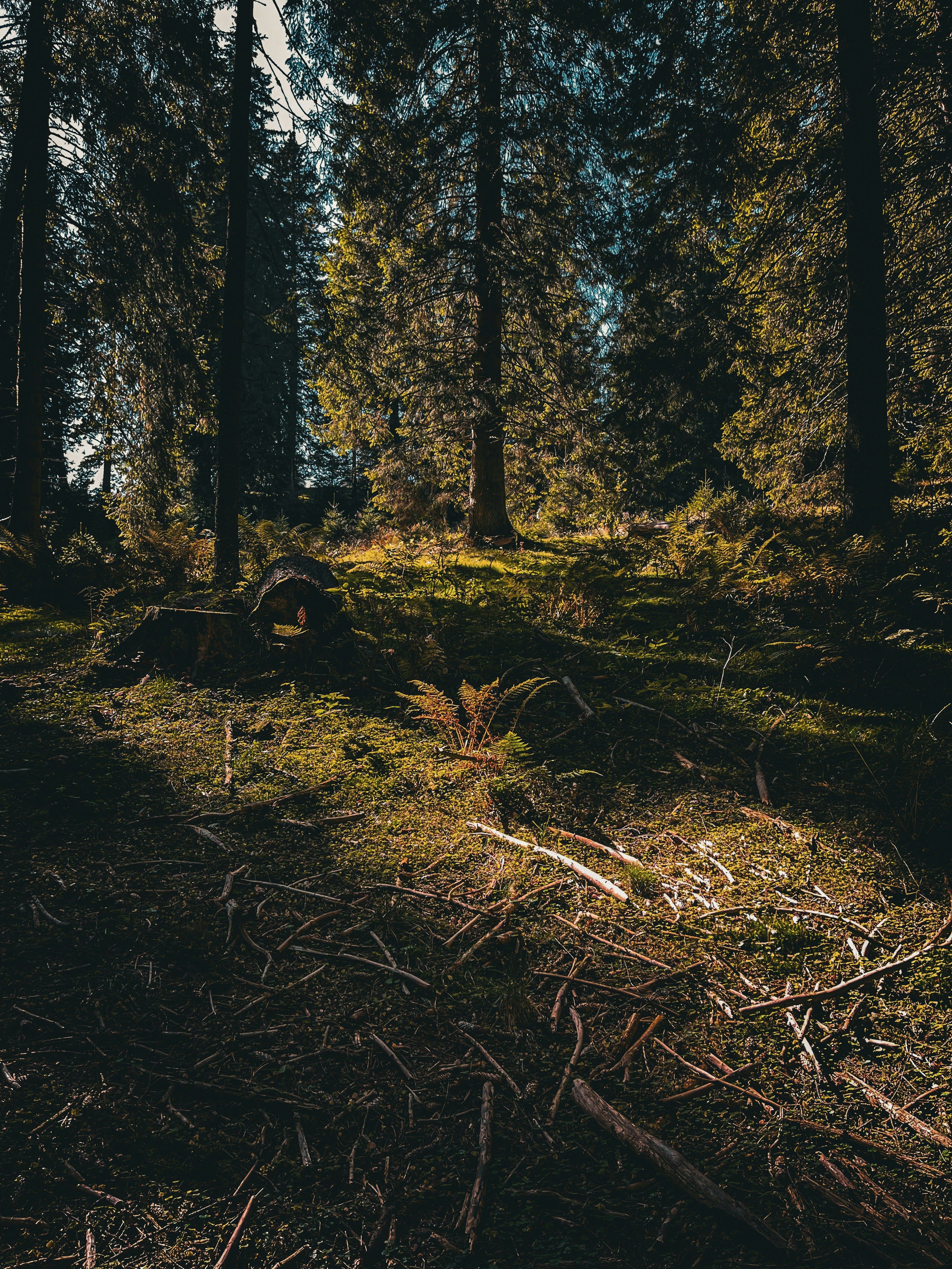 Photo by cristi_mihai