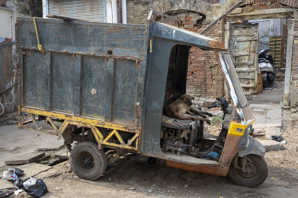 a dog laying in the back of a truck