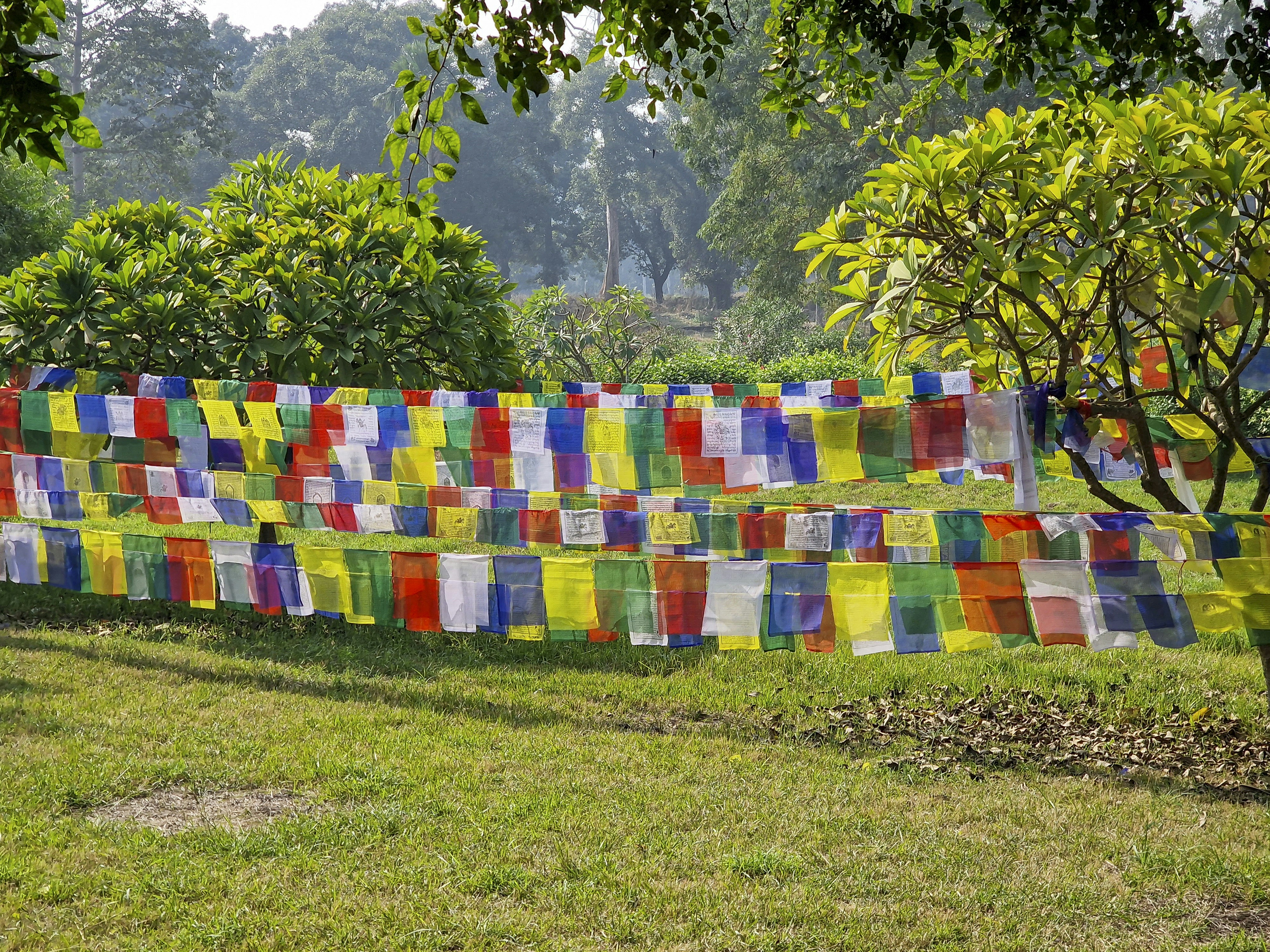 a patch of cloth hanging from a tree in a park, 
