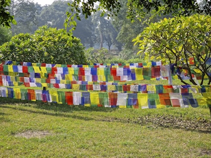 a patch of cloth hanging from a tree in a park