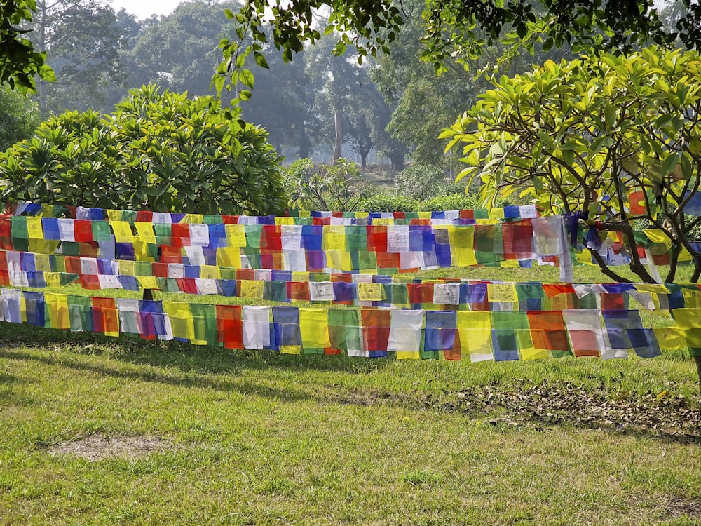 a patch of cloth hanging from a tree in a park