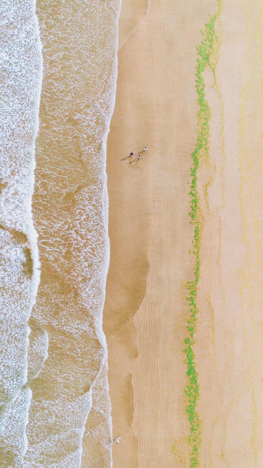 an aerial view of a beach with two people in the water