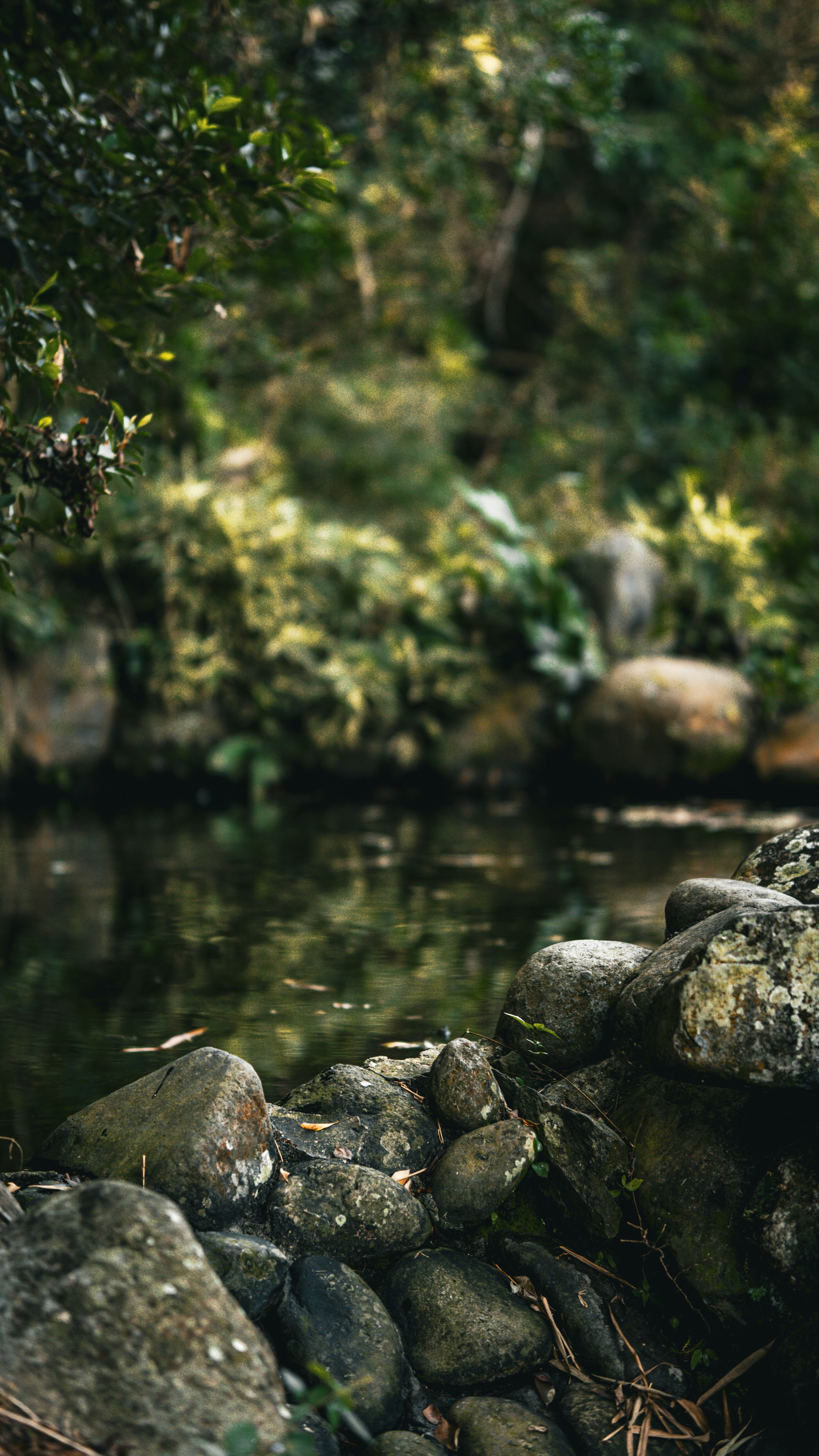 Photo by elymartinez