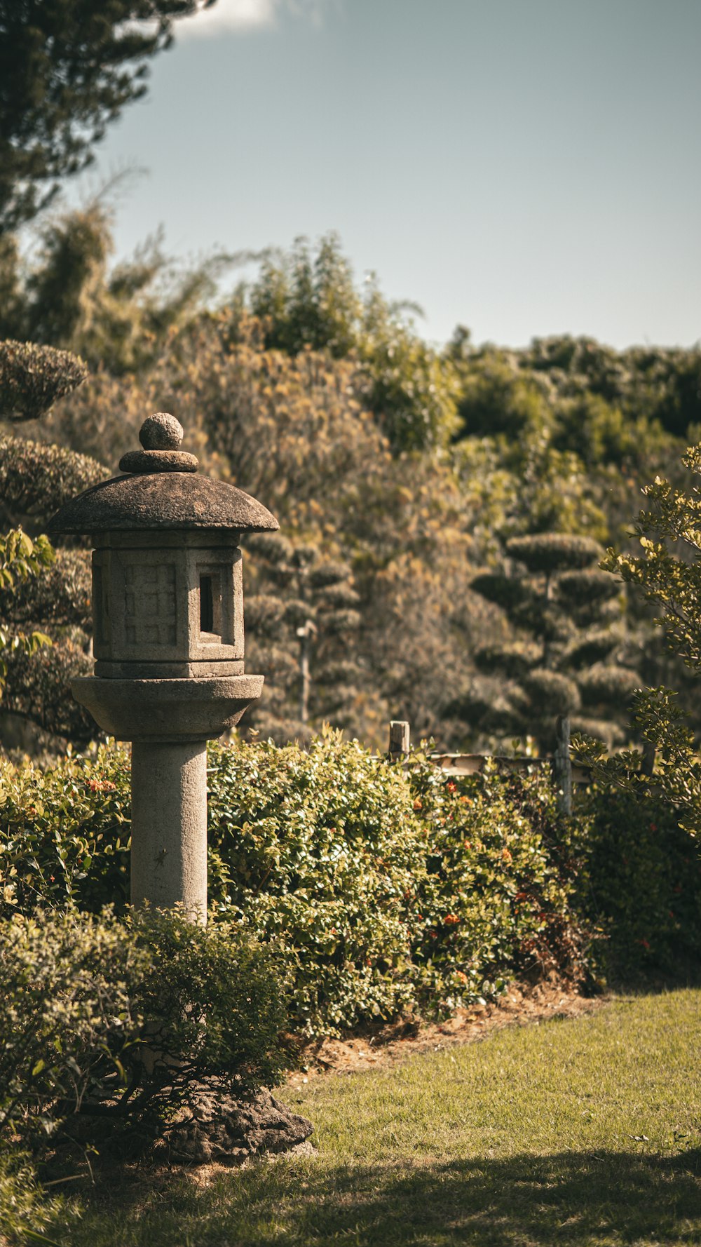 a bird house in the middle of a garden