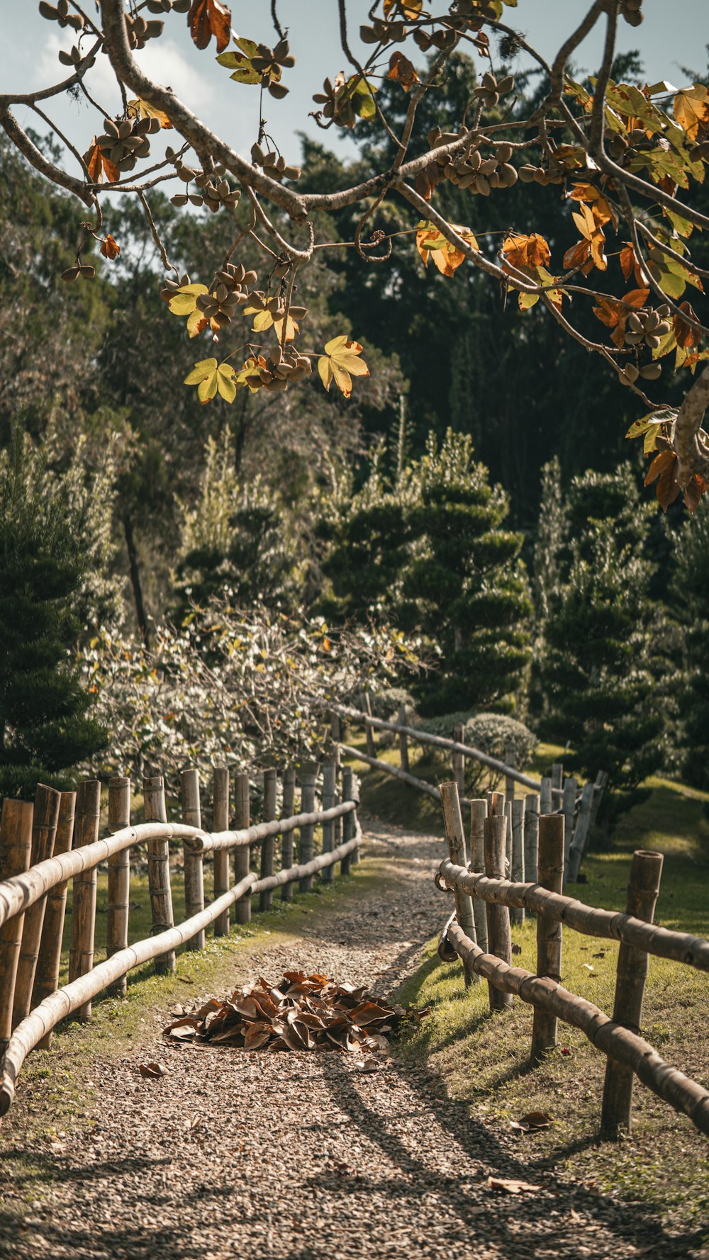 a wooden fence with a bench in the middle of it