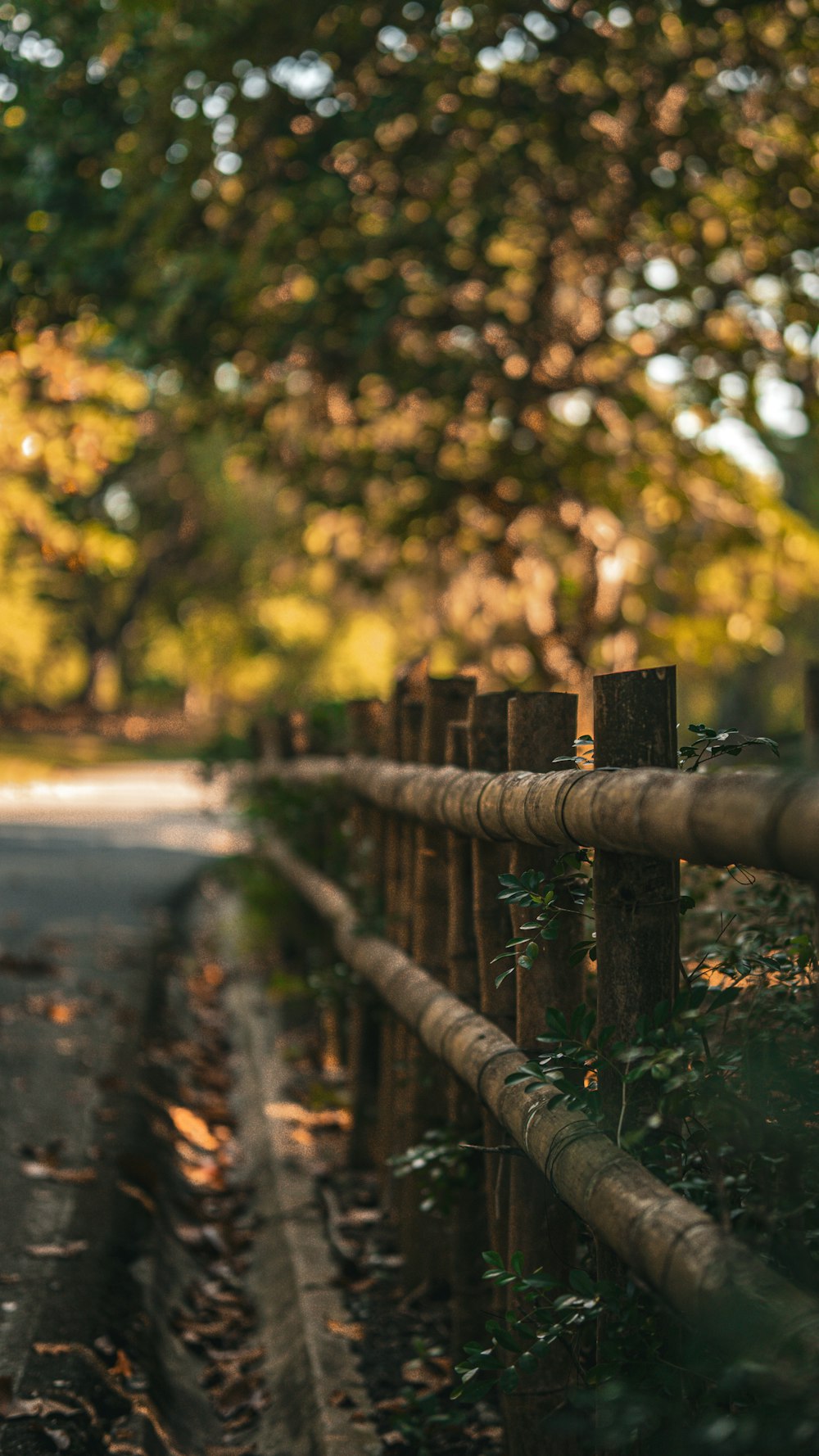 a street with a wooden fence and trees in the background