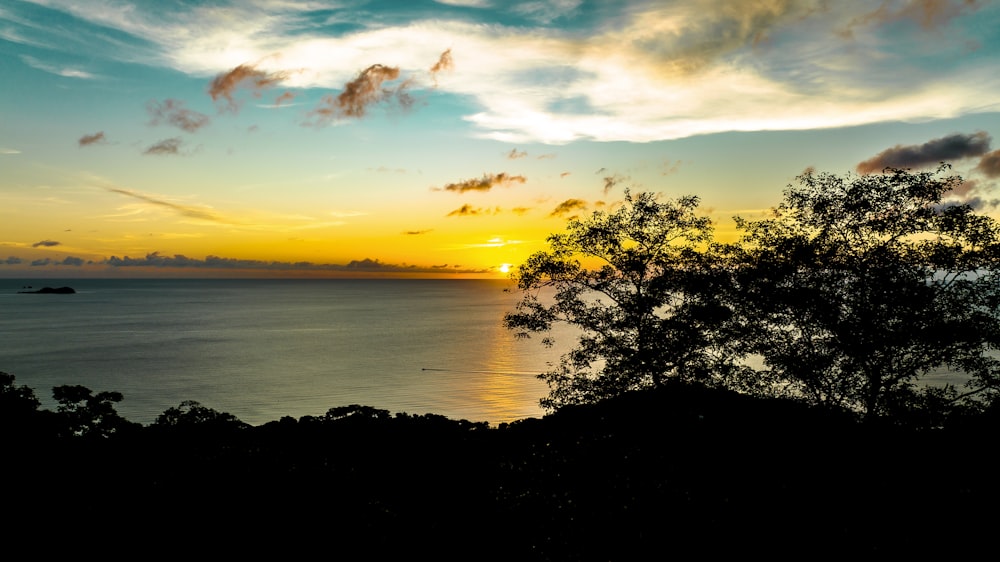 a sunset over a body of water with trees in the foreground