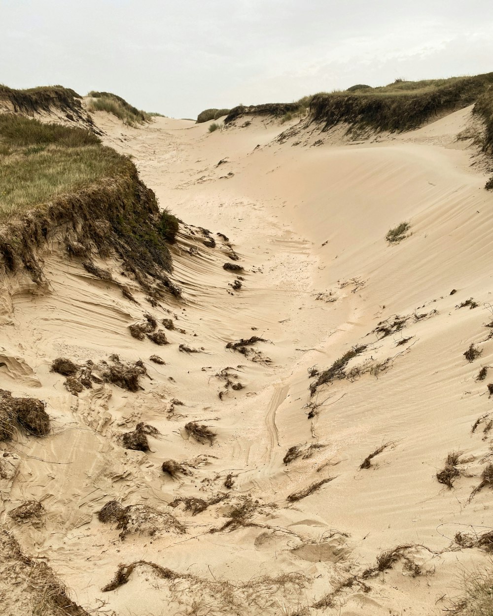 una playa de arena con una colina cubierta de hierba al fondo