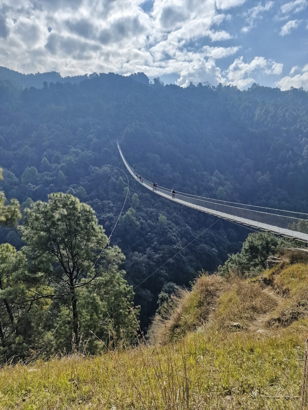 a long suspension bridge over a lush green hillside