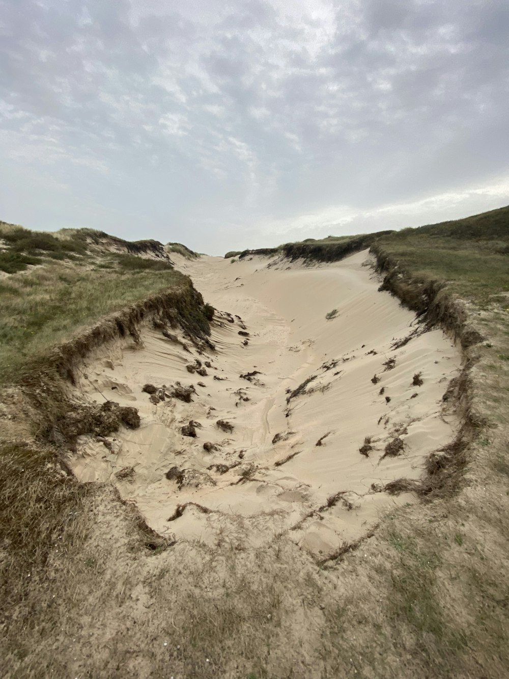 a sandy path in the middle of a grassy field